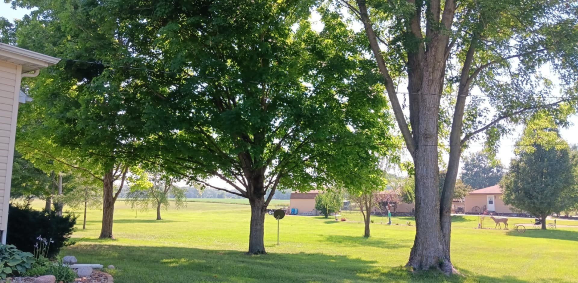  for Lawn Ranger Yard And Tree Service LLC in Ottumwa, IA