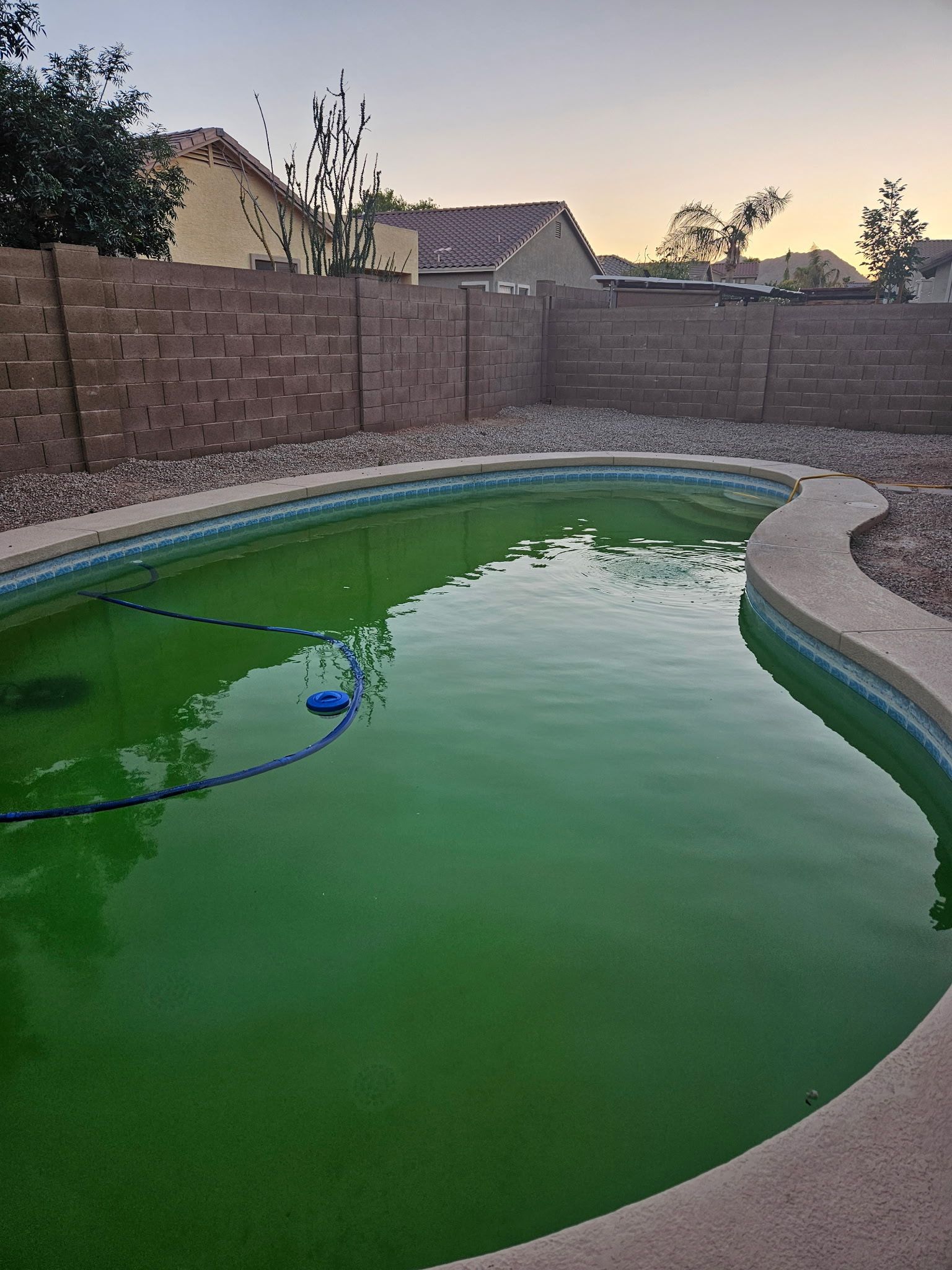 All Photos for Trublu Pool and Spa in Queen Creek, AZ