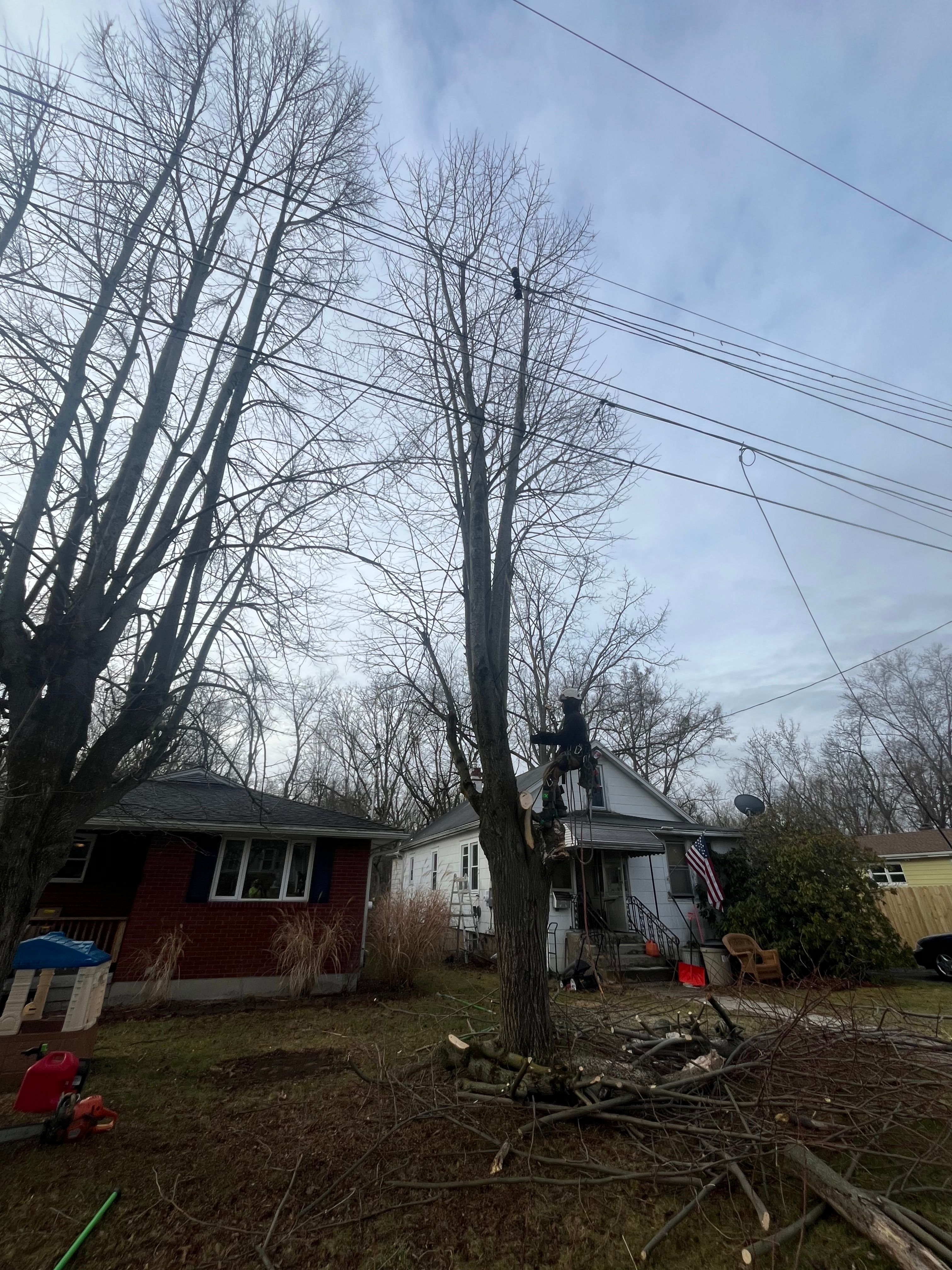 All Photos for Licensed to Cut Tree Service in Athens, PA
