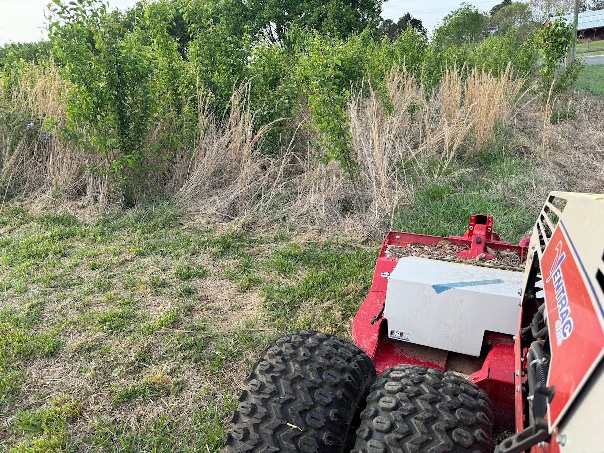  for Deeply Rooted Lawn Installations - Sod Installation & Hydroseeding Services in Winder, GA