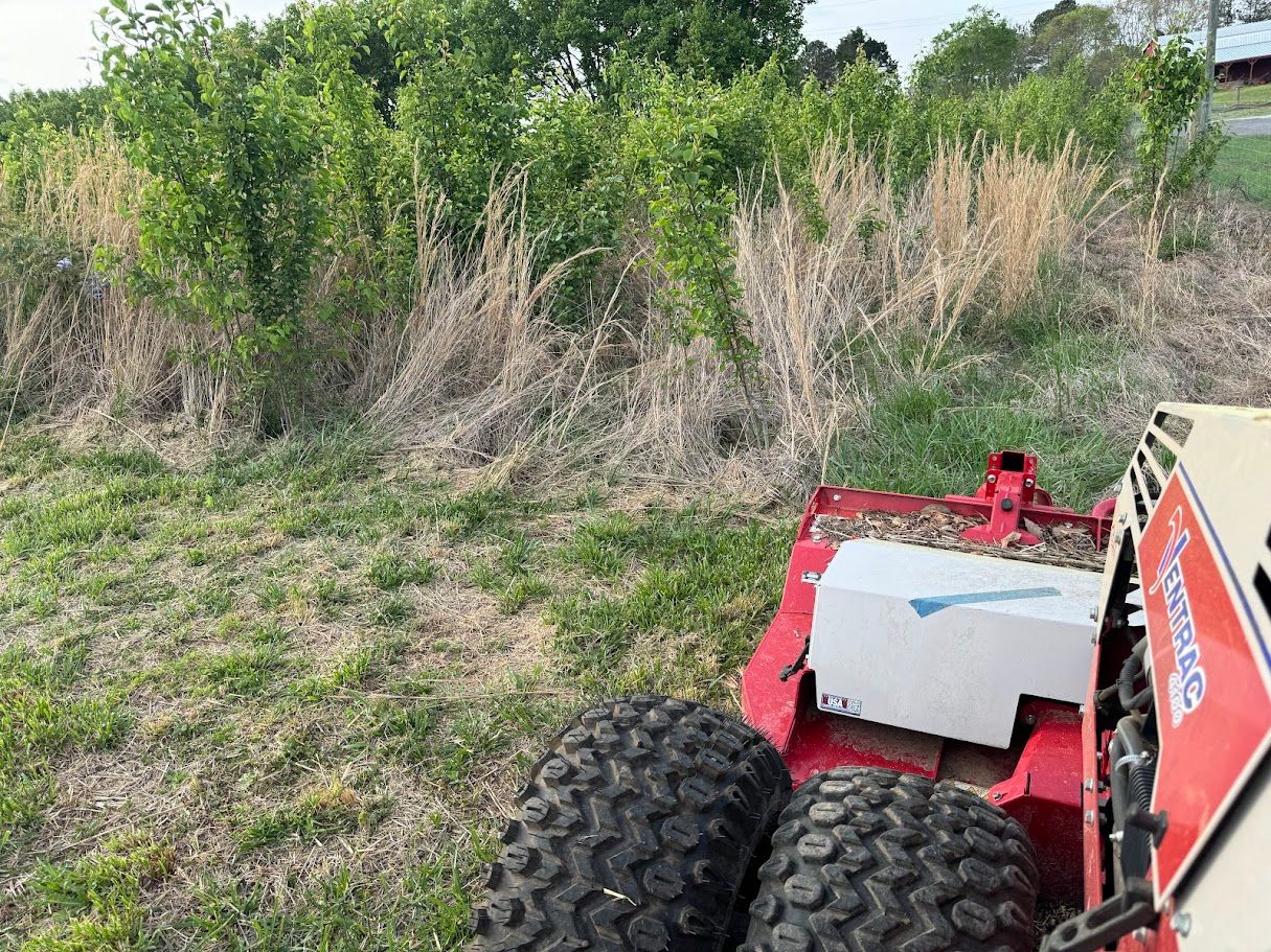 All Photos for Deeply Rooted Lawn Maintenance in Winder, GA