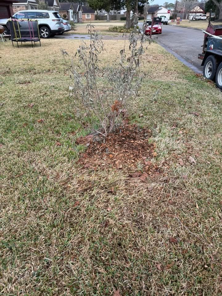  for Texas Curb N Borders in Houston, TX
