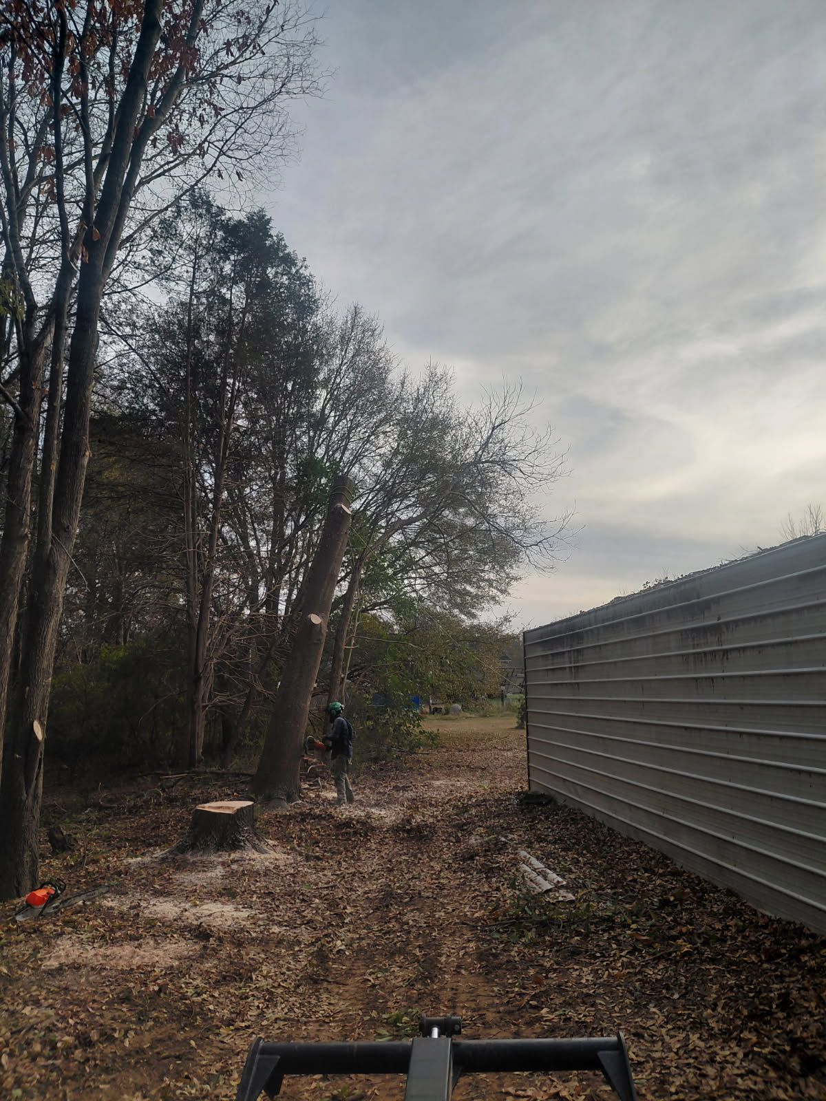 All Photos for MTJ Tree Removal LLC in Zebulon, NC