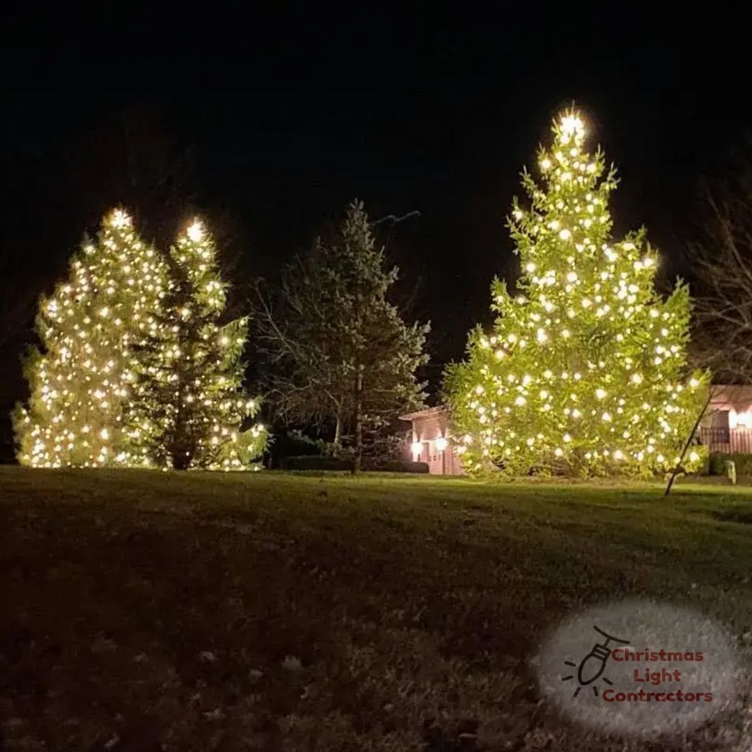 Light Installation for Christmas Light Installers in Indianapolis, IN