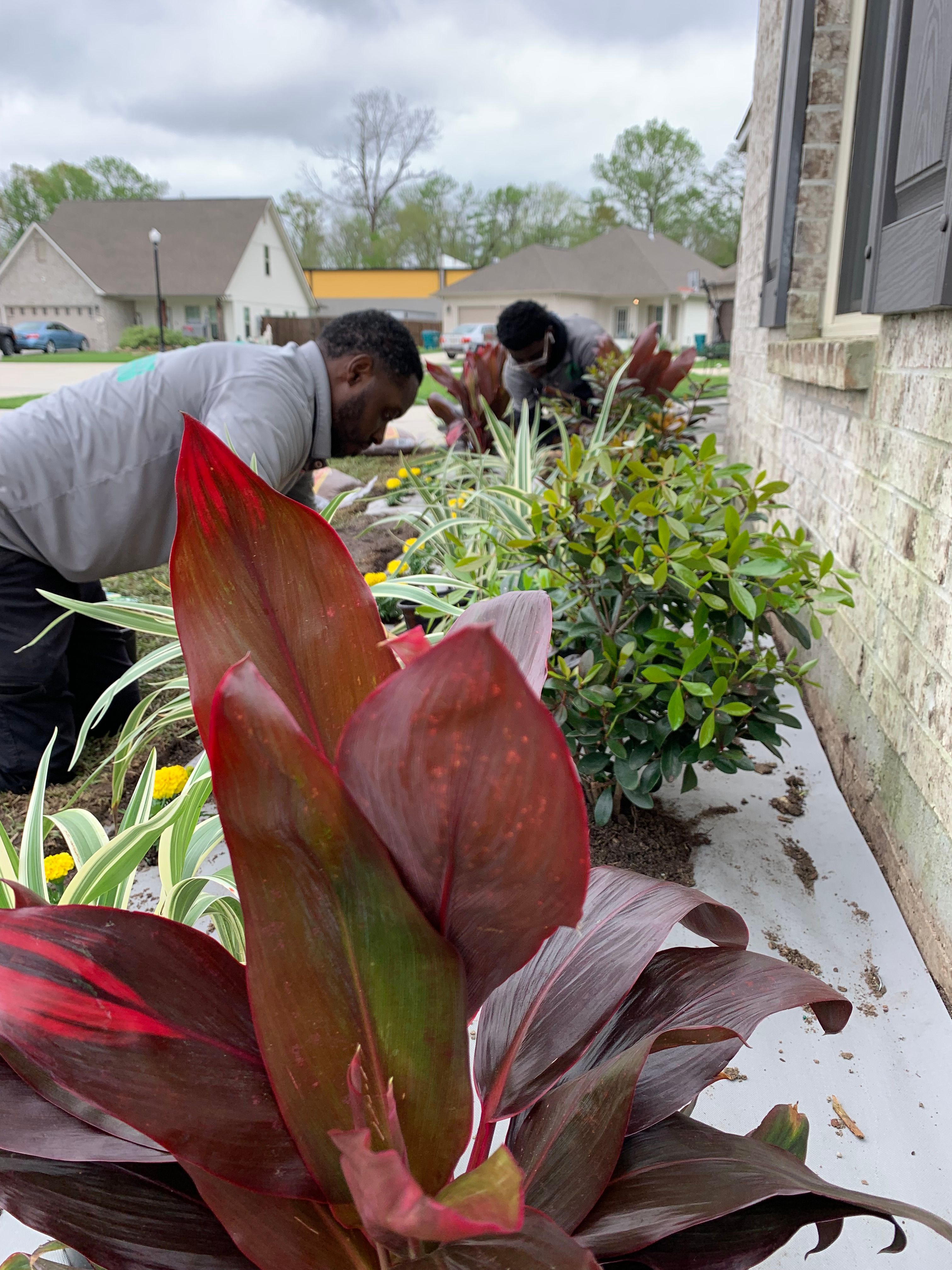  for Jay C’s Touch Landscaping & Pressure Washing Services LLC in Marrero, LA