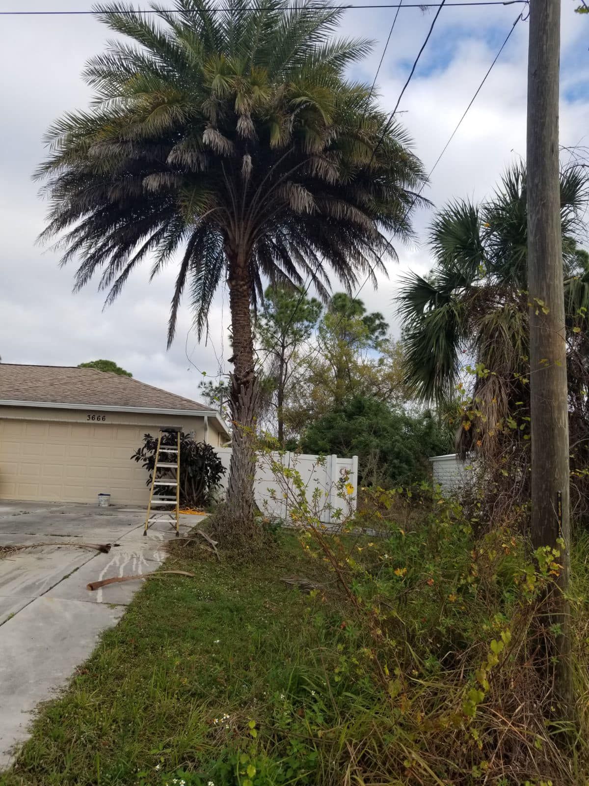  for Nick of Time Tree Service in North Port, FL