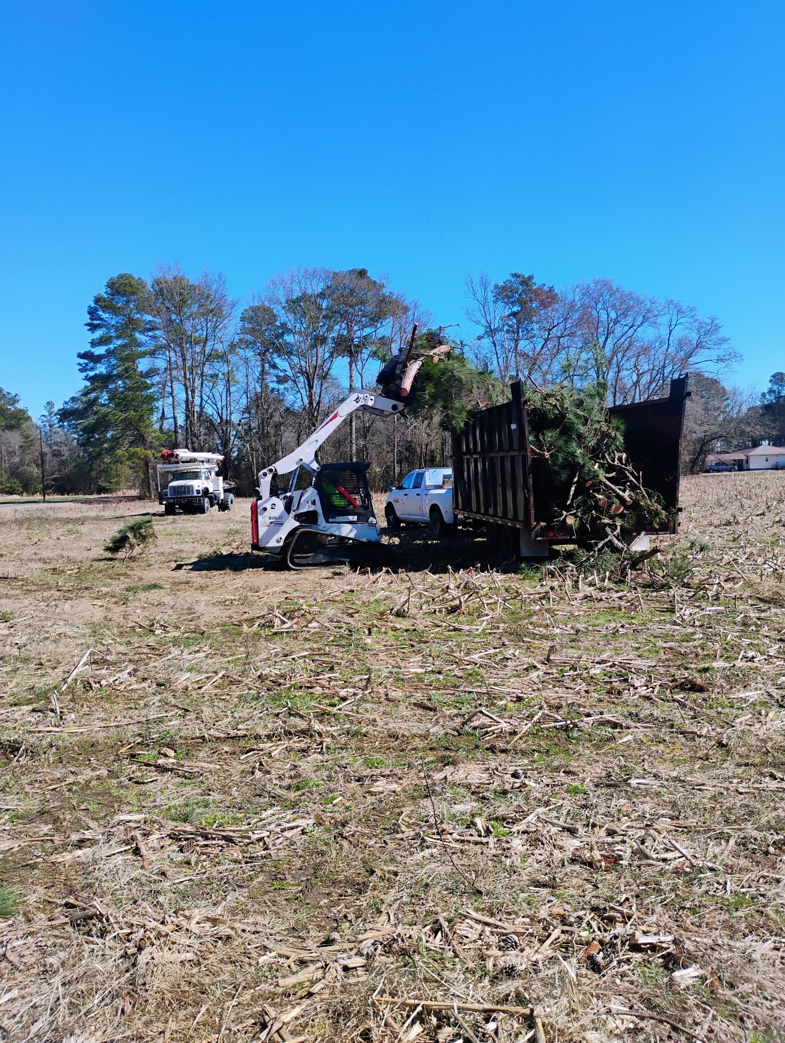All Photos for Kingdom Riderz Hauling And Tree Service in Tar Heel, NC