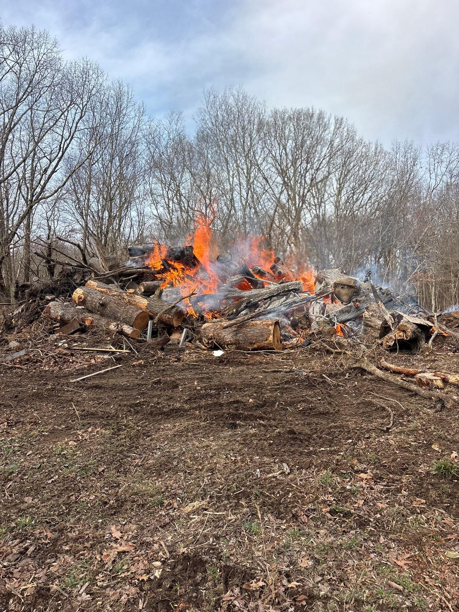 All Photos for TD Dirtworks in Tracy City, TN