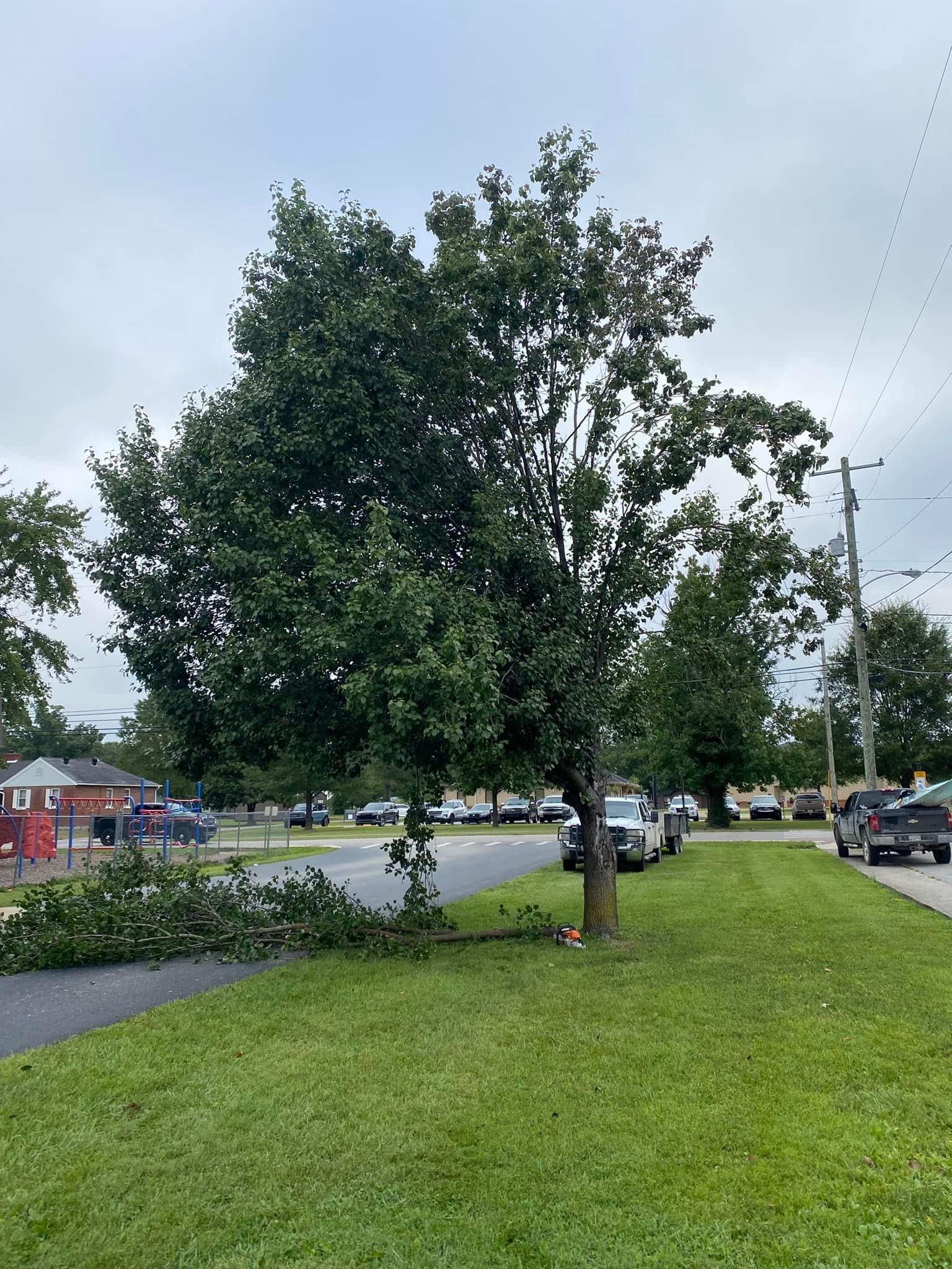 Fall and Spring Clean Up for Atwood’s Tree Care in Liberty,  KY