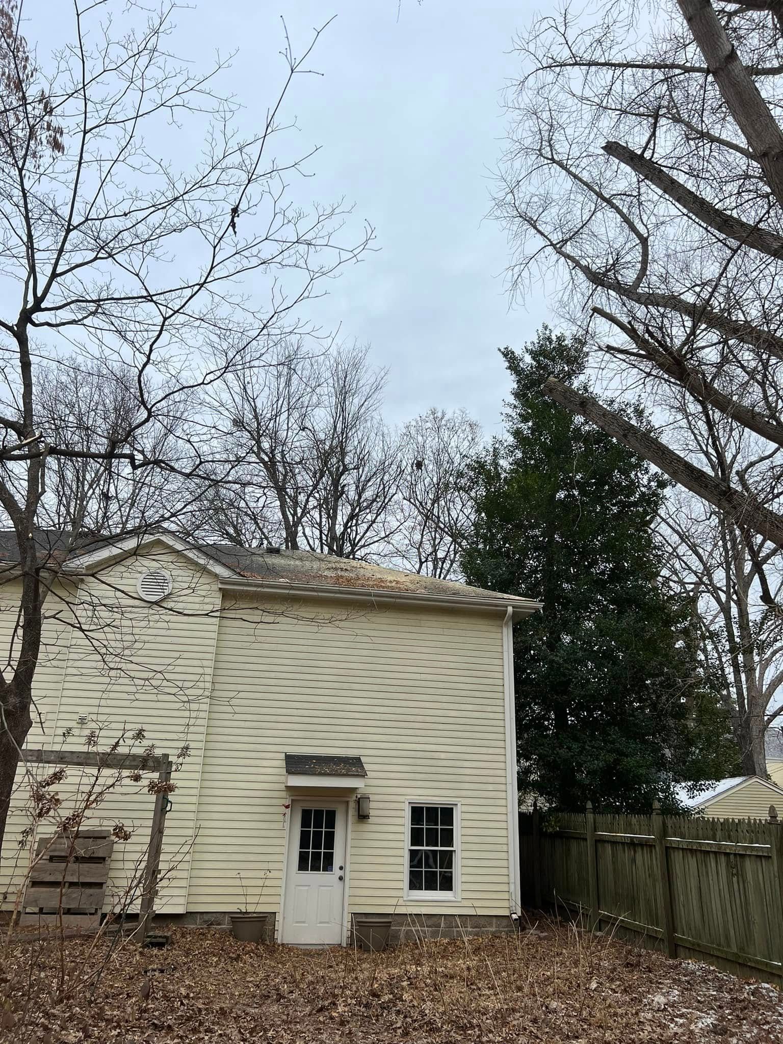  for La Fountain Tree Service in Louisville, KY