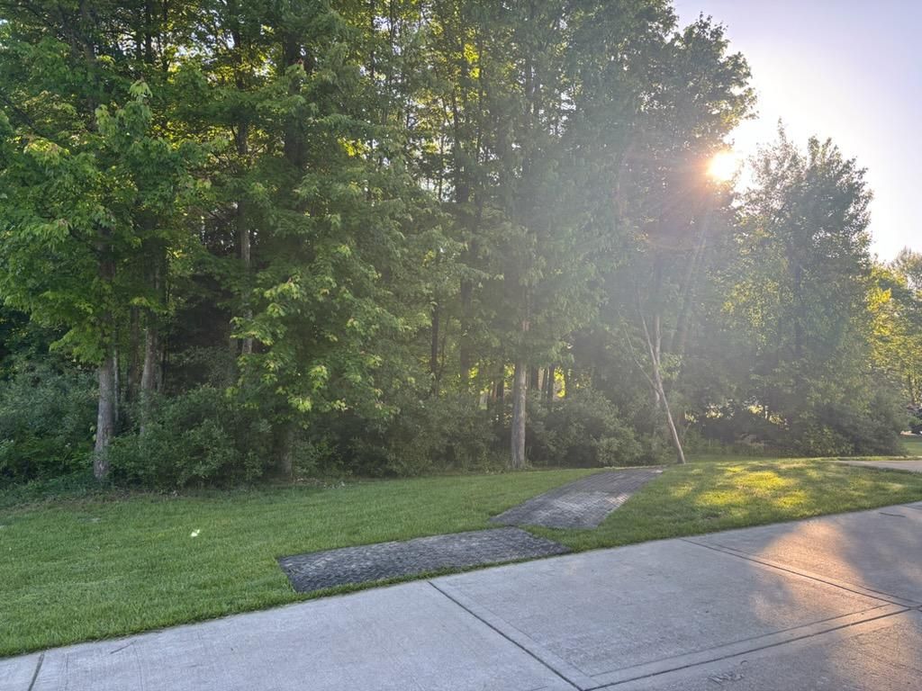  for Anstaetts Tree Service in Batavia, OH