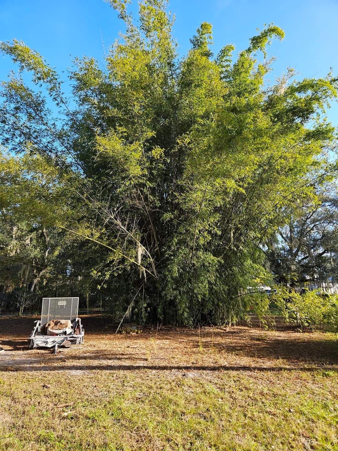 Excavating for Bay Area Bobcat in Riverview, FL