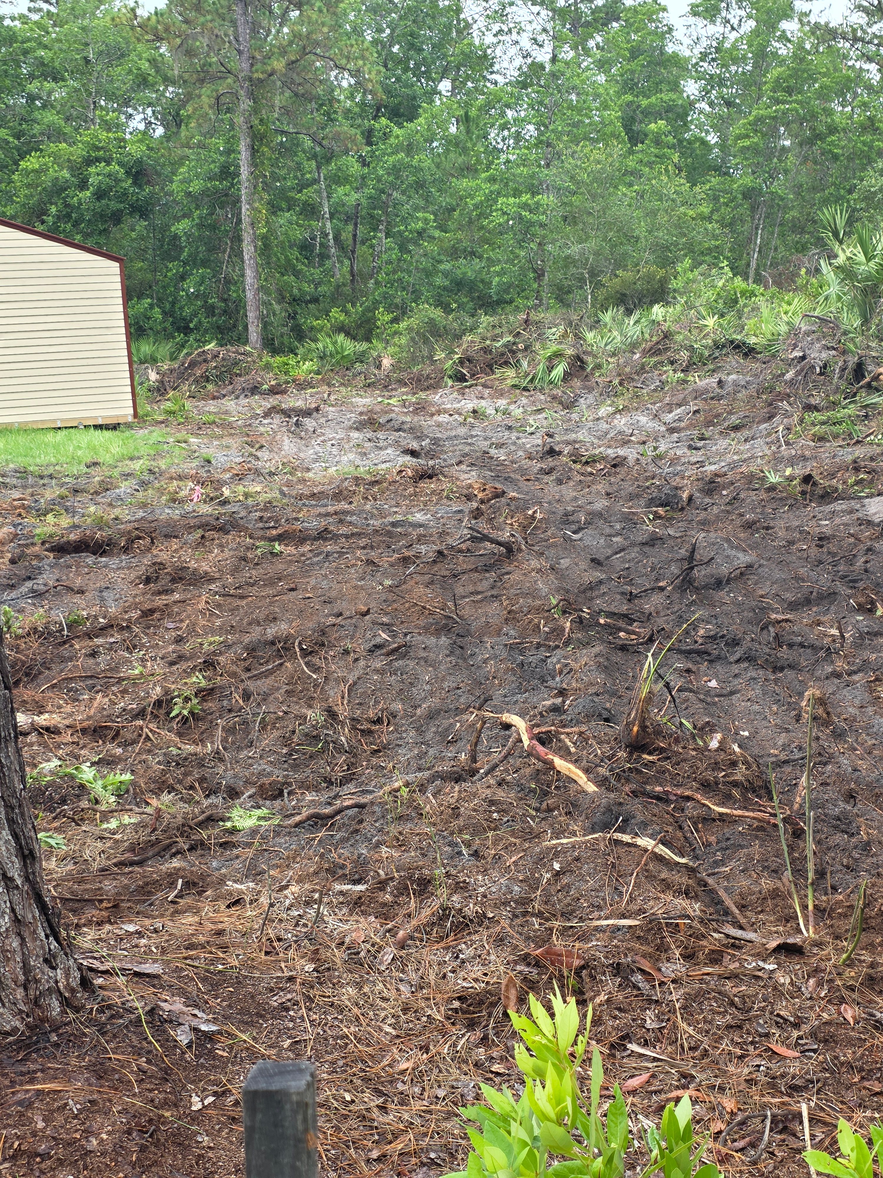 All Photos for Highlife Tree Care And Landscaping in Altamonte Springs, FL