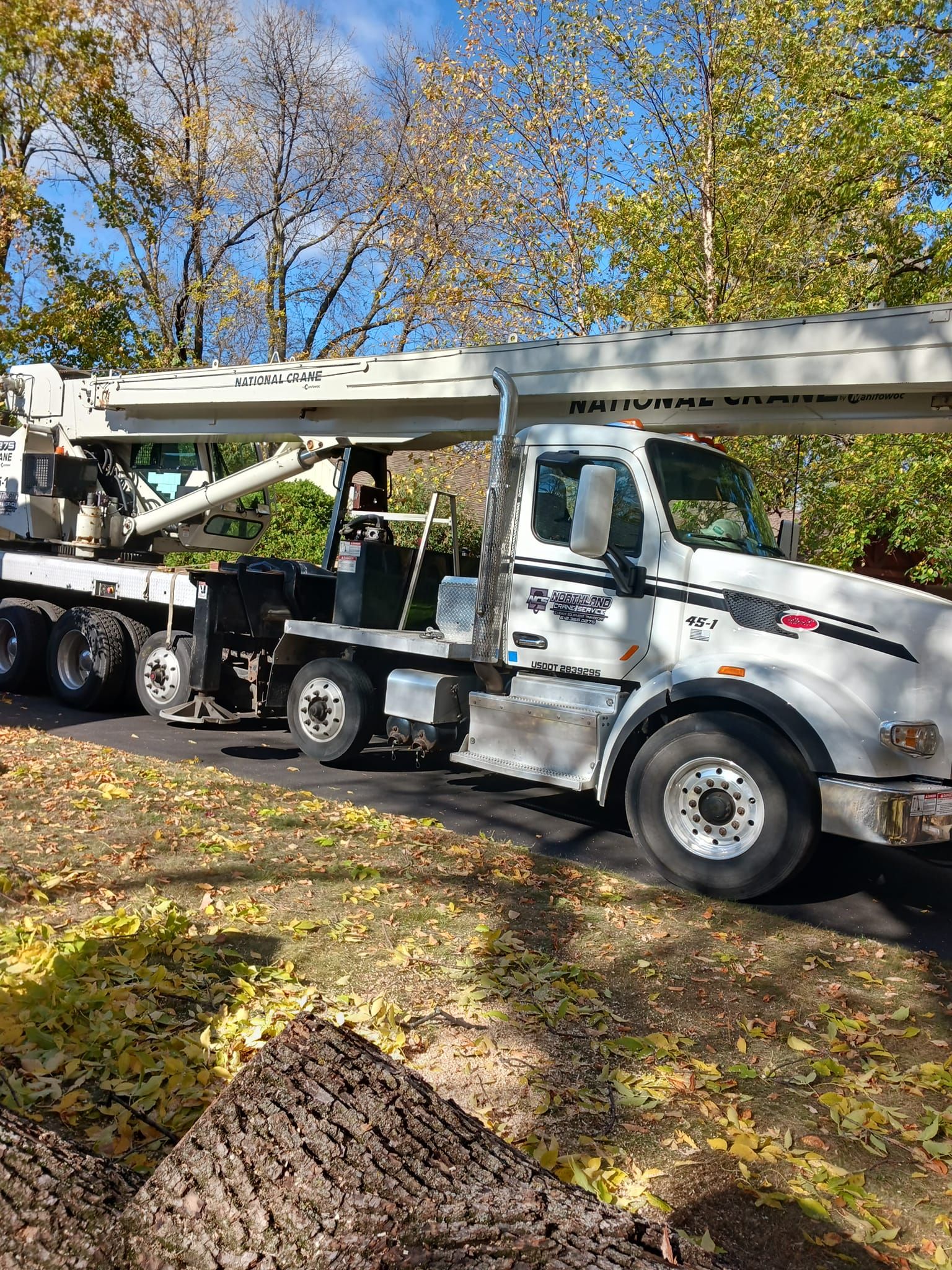 Tree Removal for Buffalo Family Tree Care in Buffalo, MN