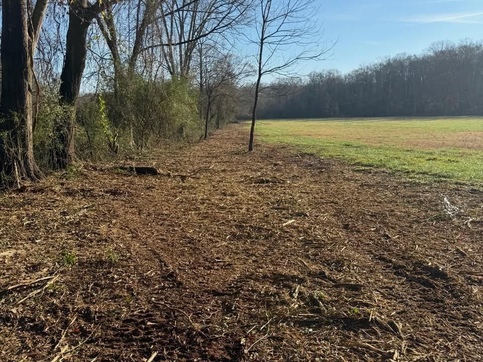  for T Crane Grading LLC in Clarkesville, GA