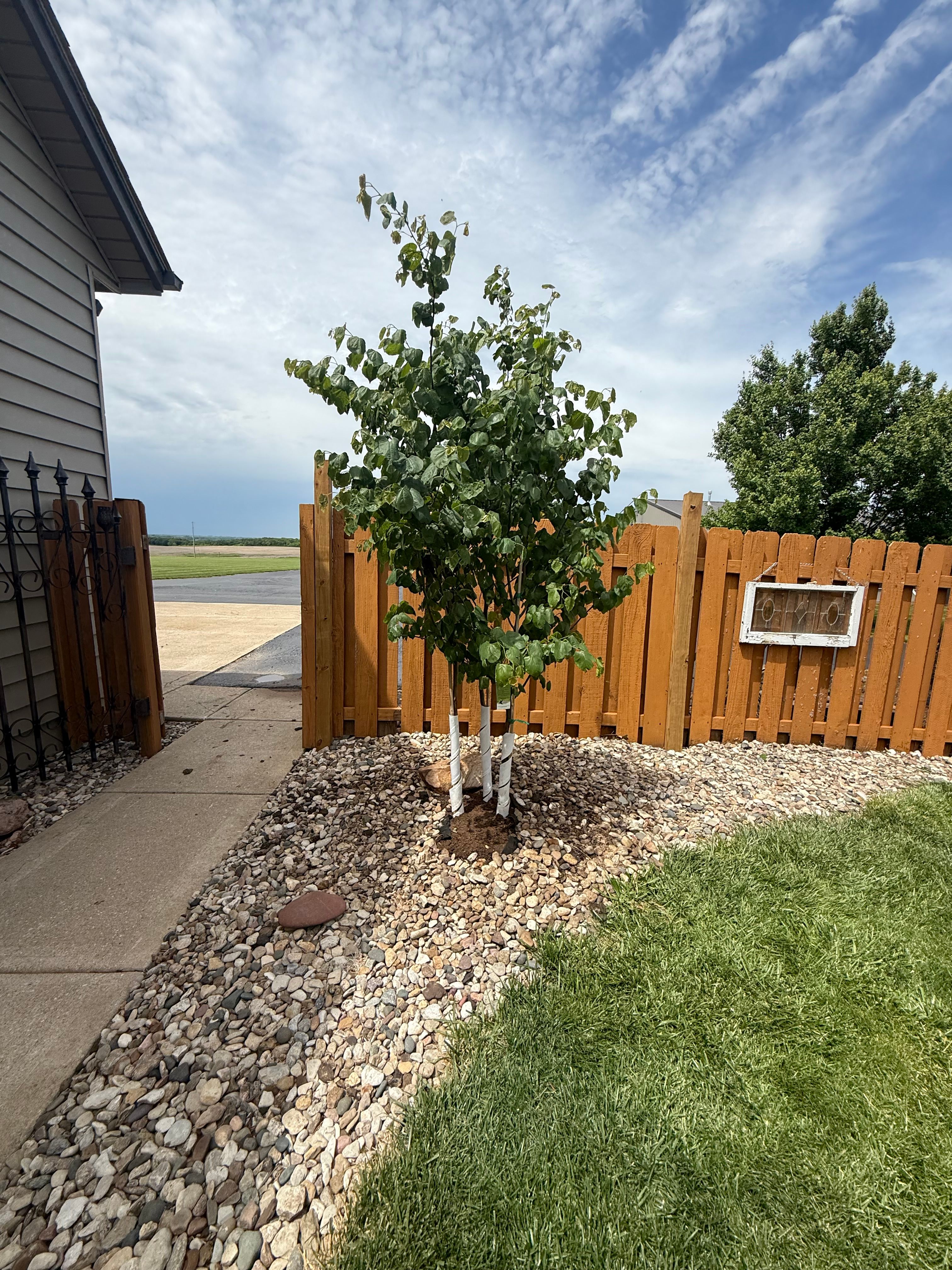  for Elite Lawn Care Solutions in Leavenworth, KS