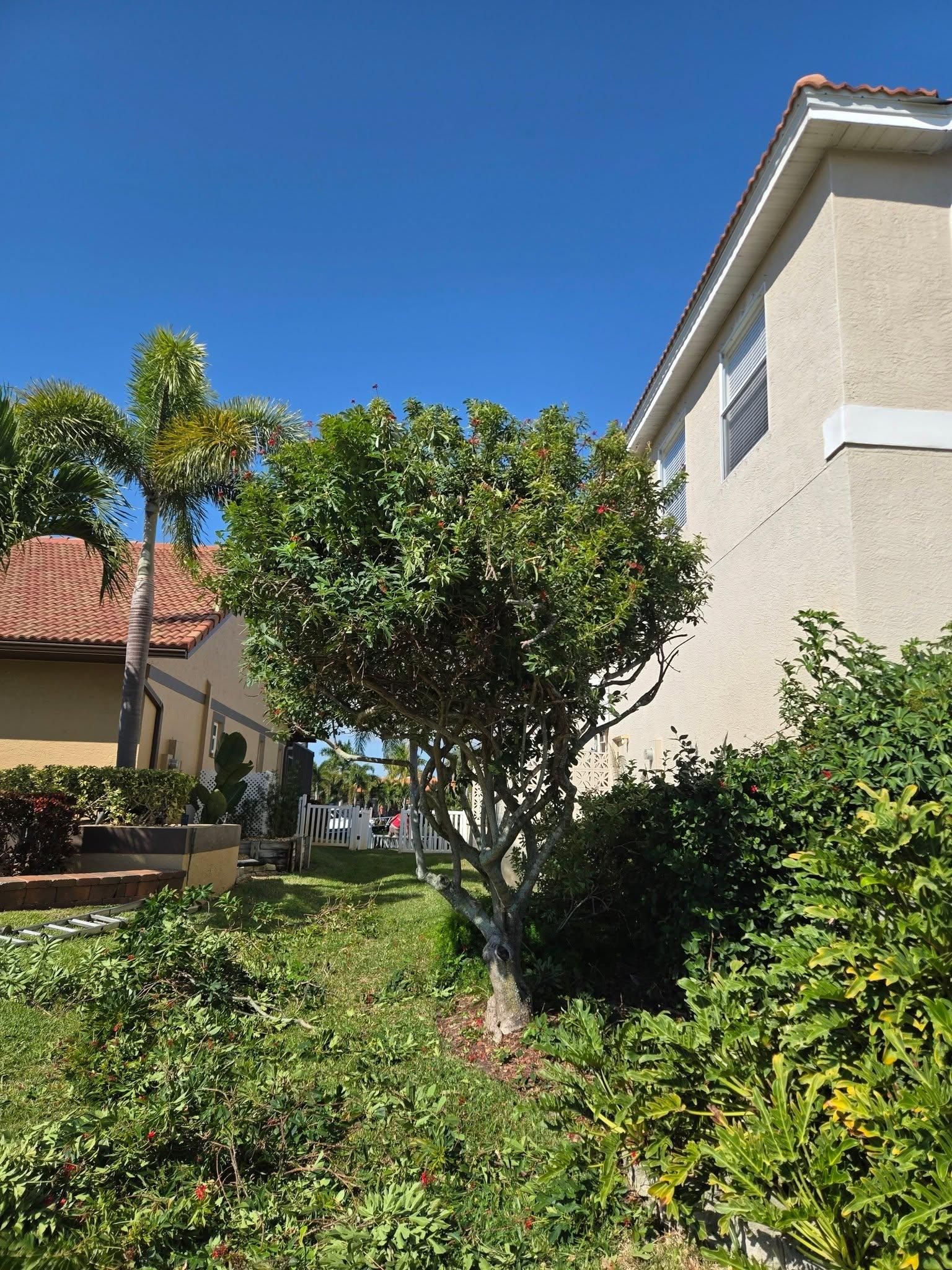 All Photos for TREE BOYS in Ruskin, FL