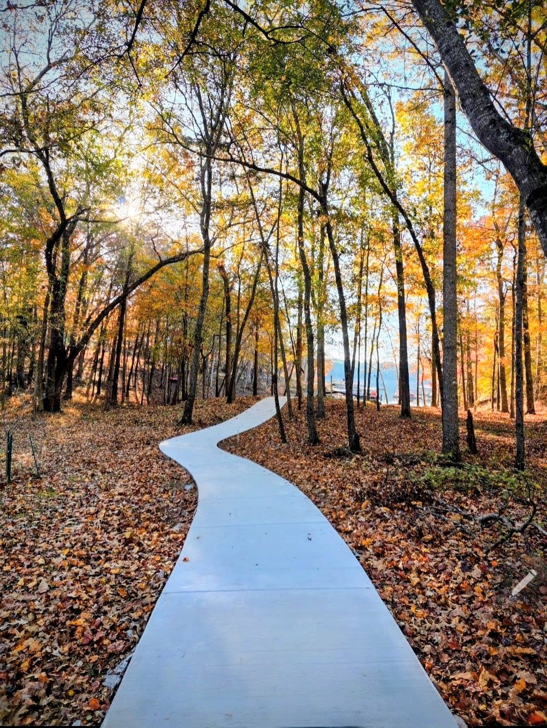  for D&D Unlimited Landscaping in Hartwell, GA