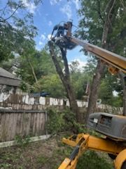 Tree Trimming for CrossCut in Kempner, TX