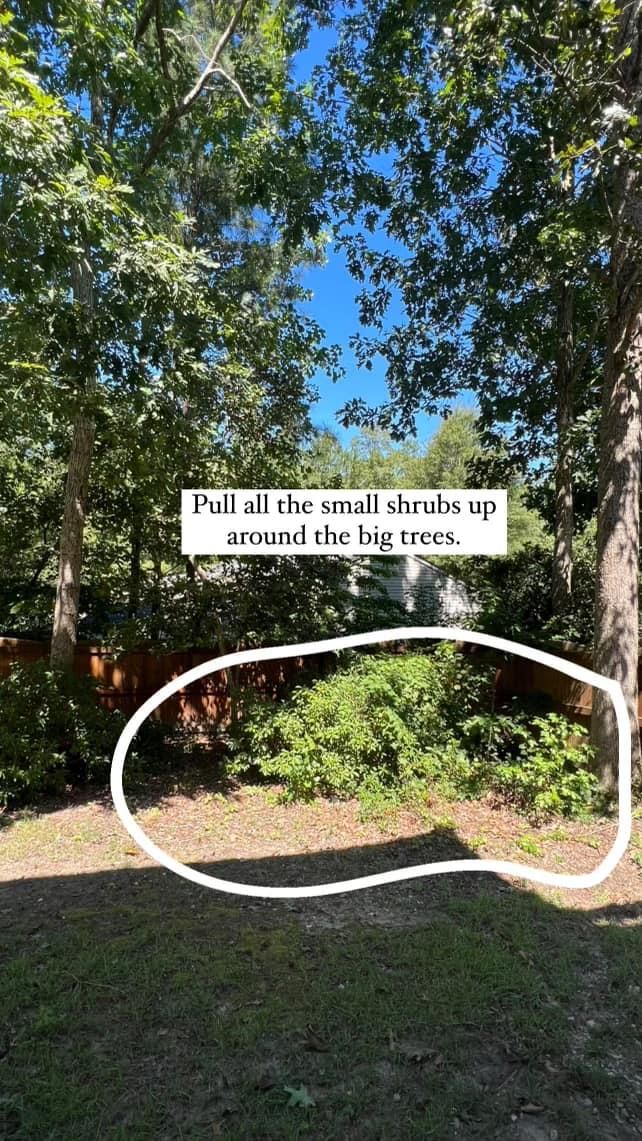  for Shang's Landscaping Service in Columbia, South Carolina
