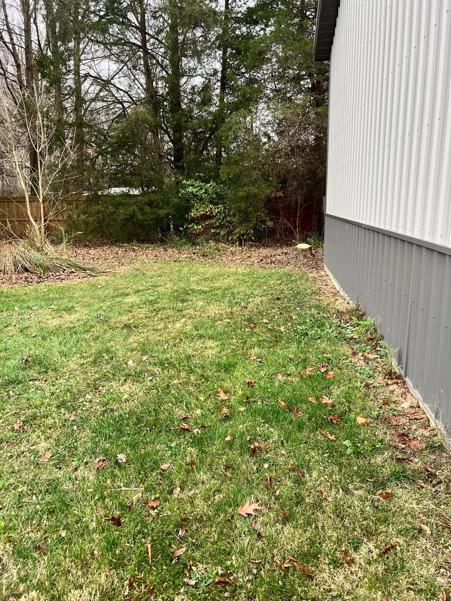 Tree Services for Kadin’s Tree Service in North Vernon, IN