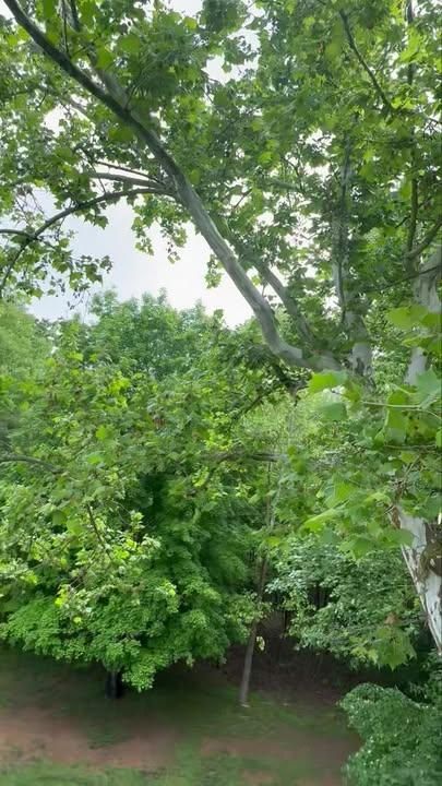 All Photos for Complete Care in Cumberland Gap, TN