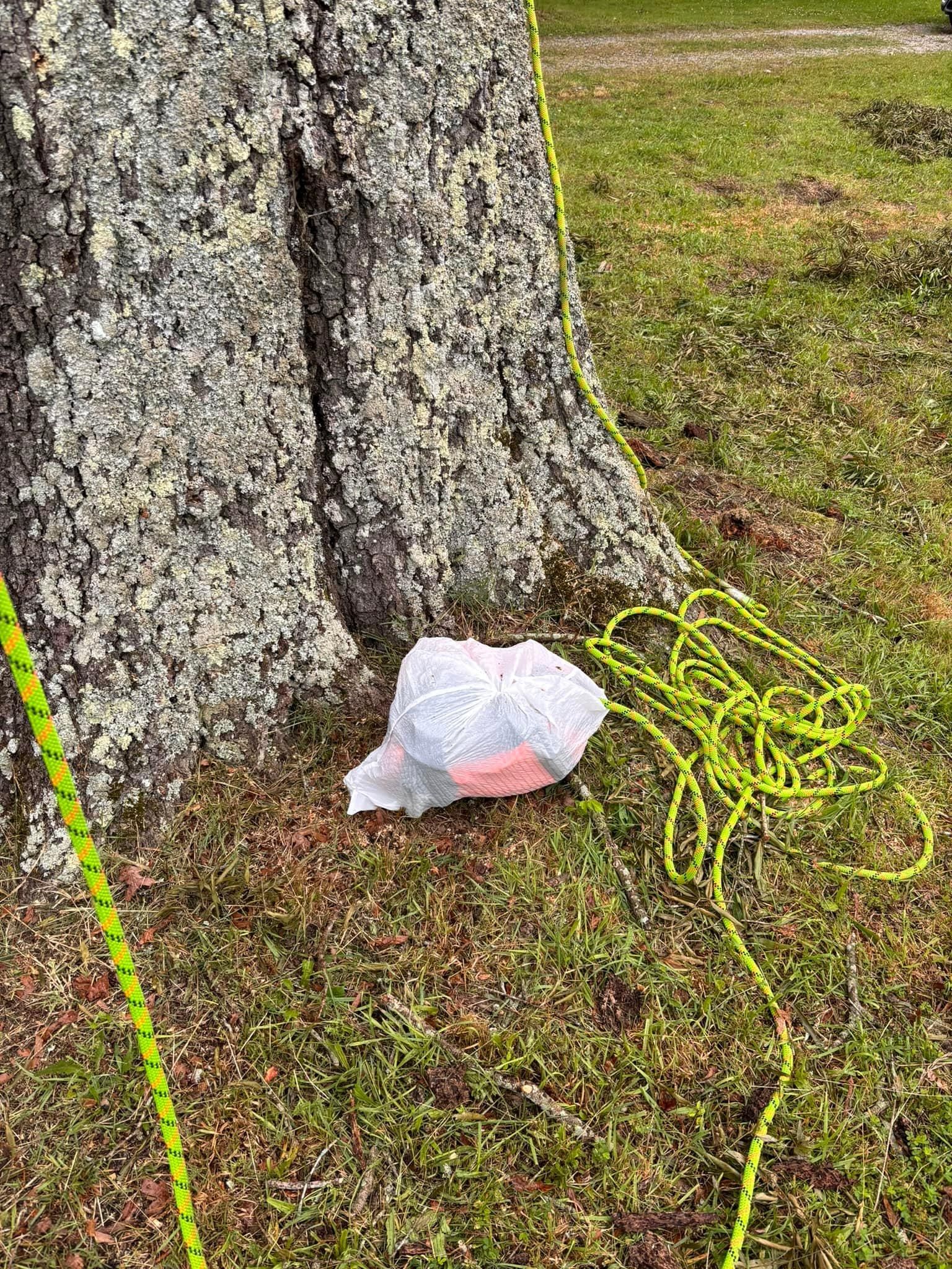  for Ascending Tree Service LLC in Kenbridge, VA