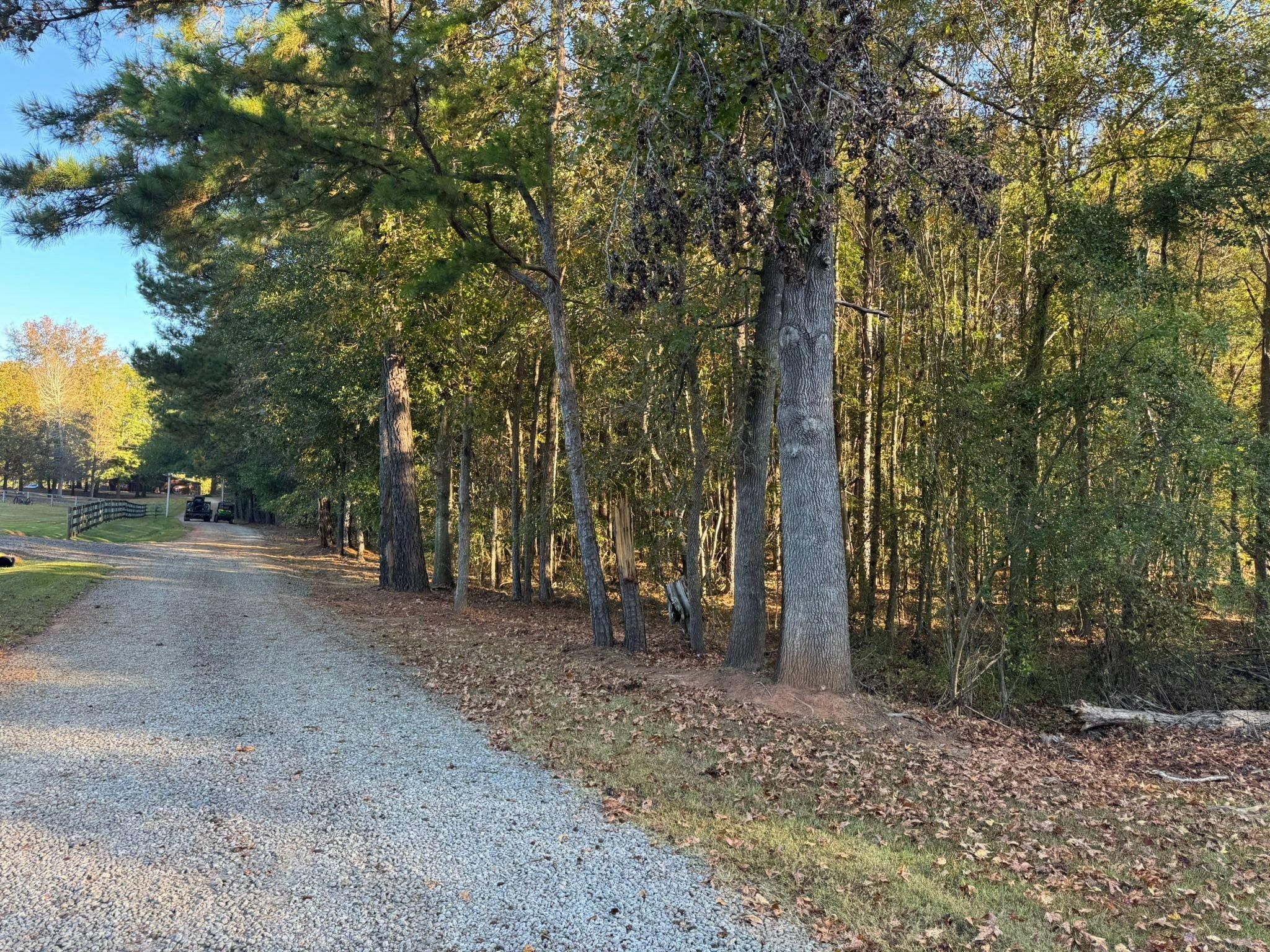  for KLNAX Enterprises in Newton County, GA