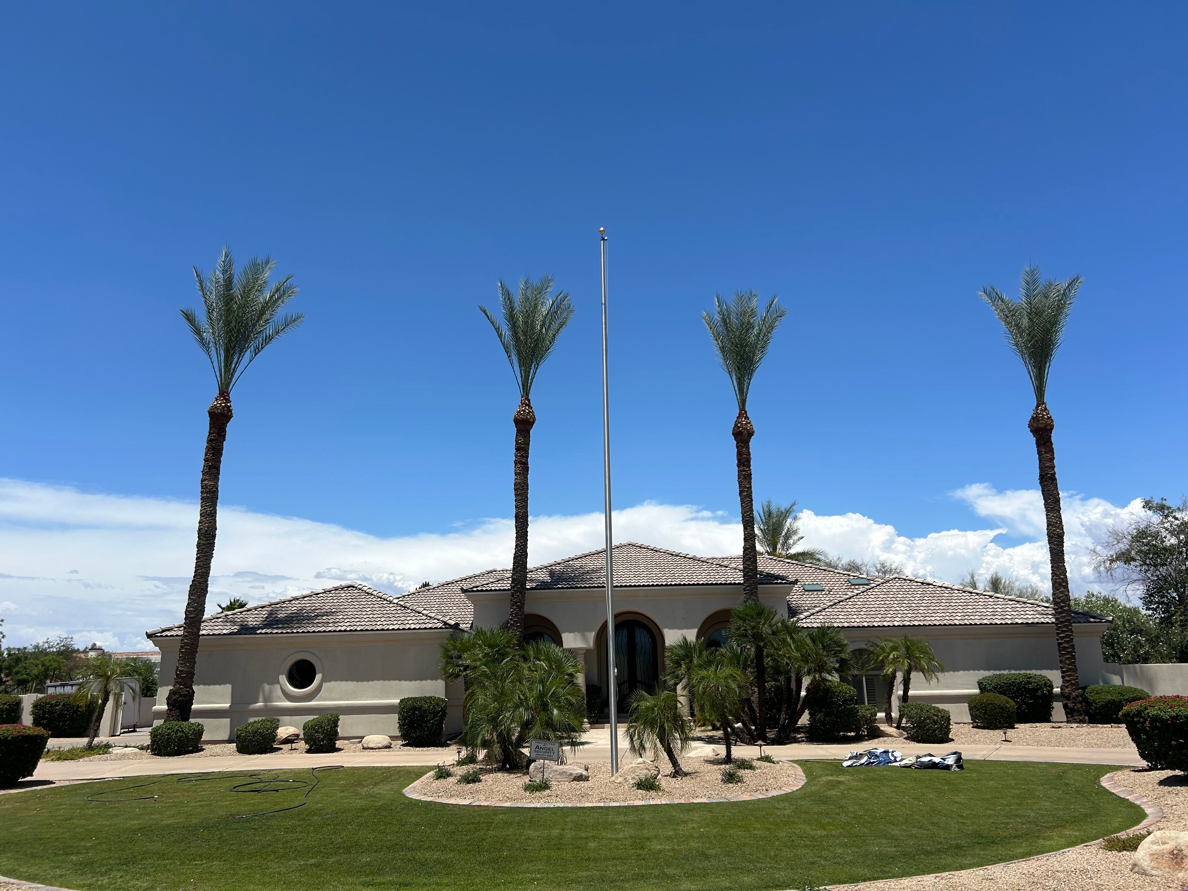  for Copperhead Solution in Phoenix, Arizona