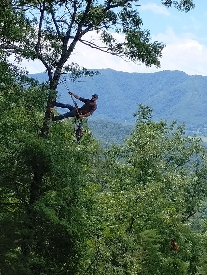  for Wade's Family Tree Service in Townsend, TN
