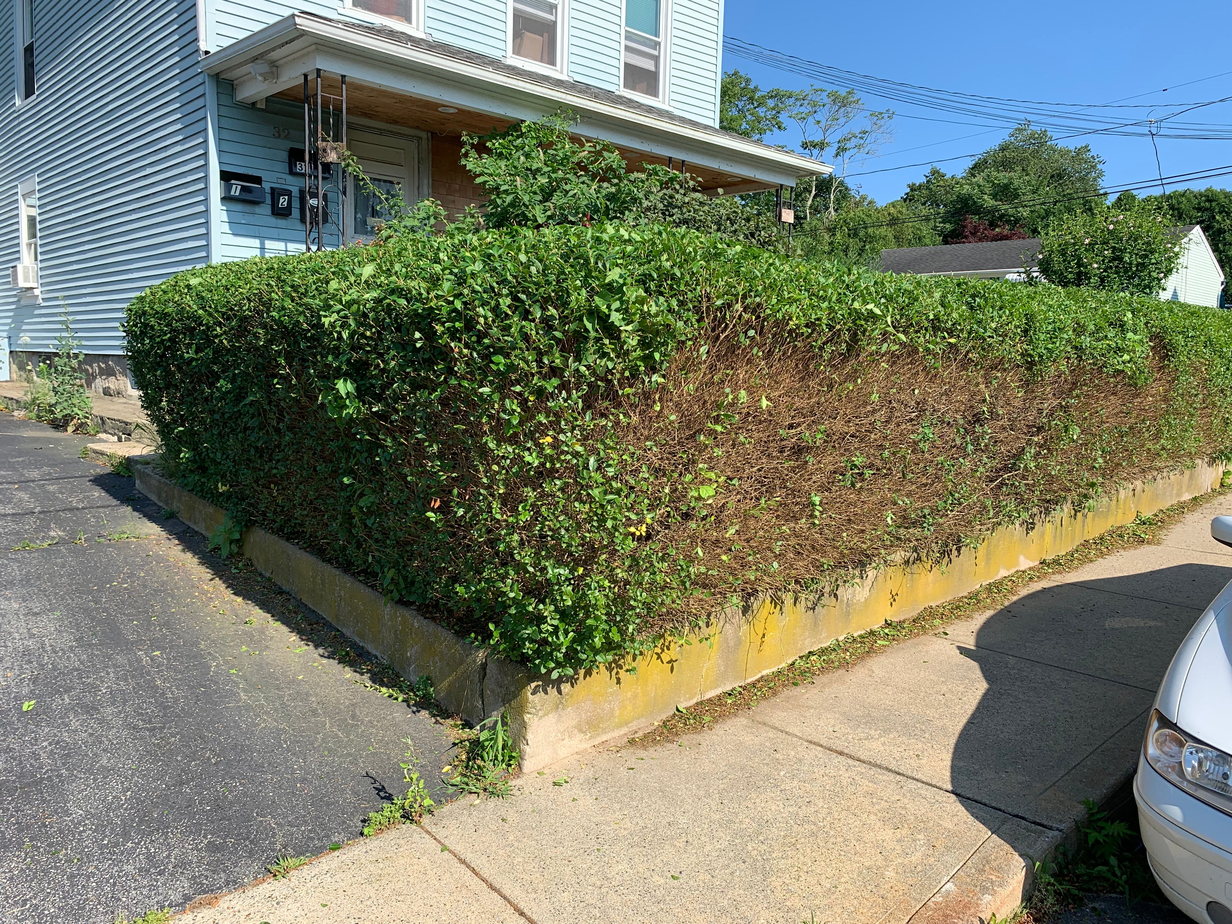  for Murray Mowing and More in Ashaway, RI