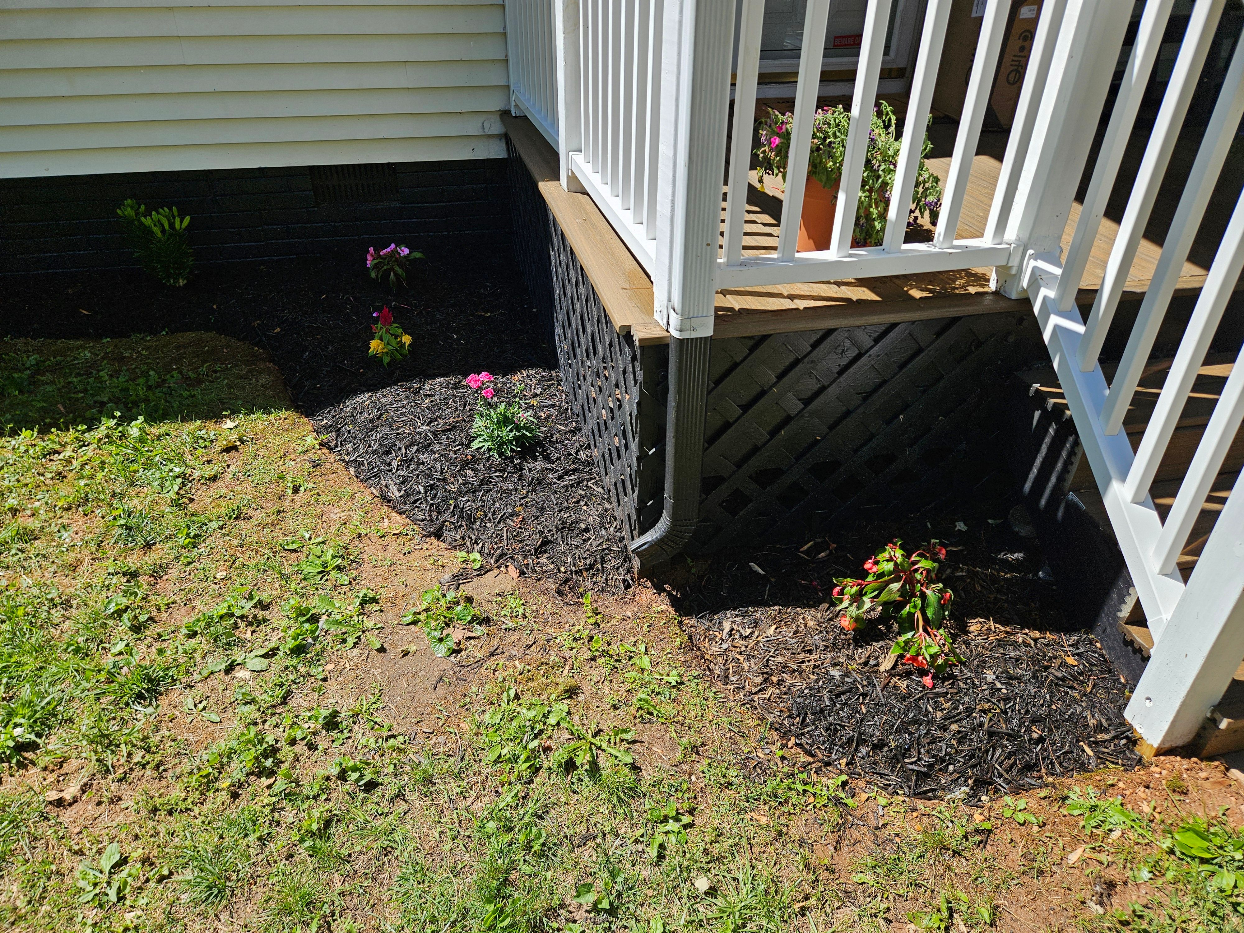 All Photos for Browns Grounds in Culpeper, VA