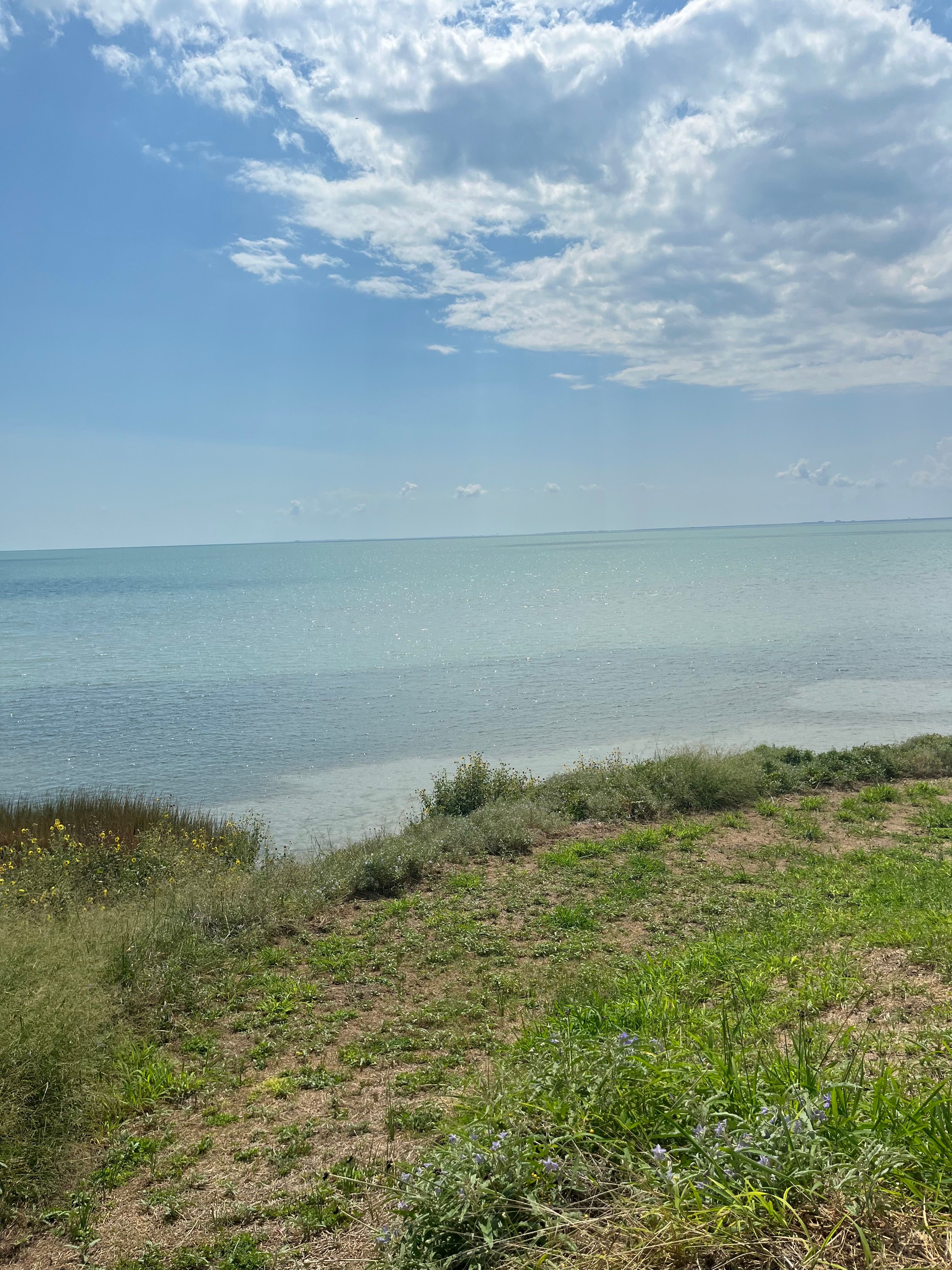  for Kinetic Pools in Corpus Christi, TX
