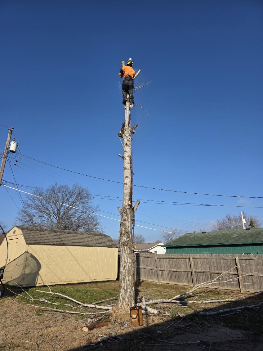  for Oklahoma Tree Guy in Bartlesville, OK