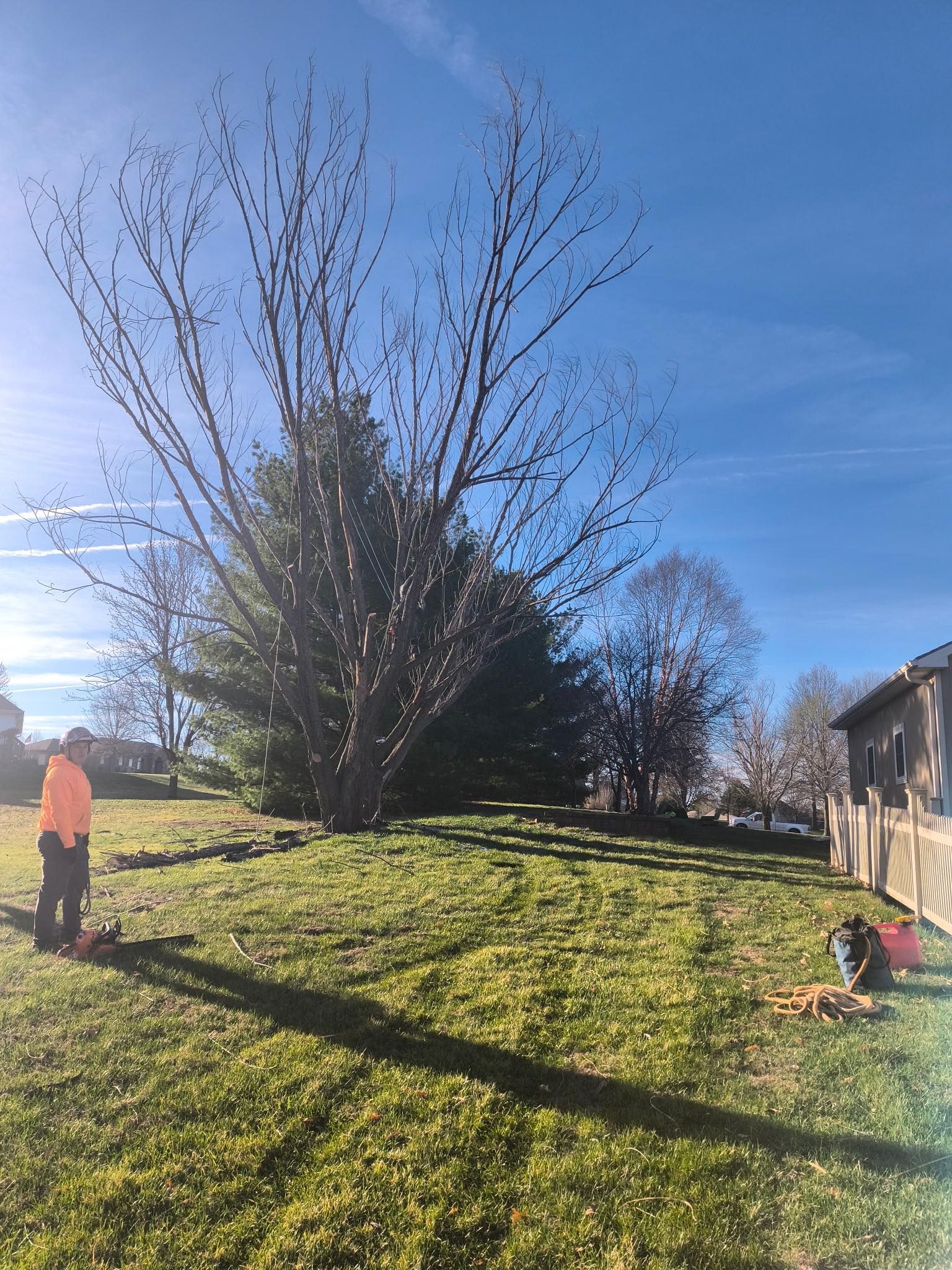Tree Removal for Cross Family Tree Service in Kearney, MO