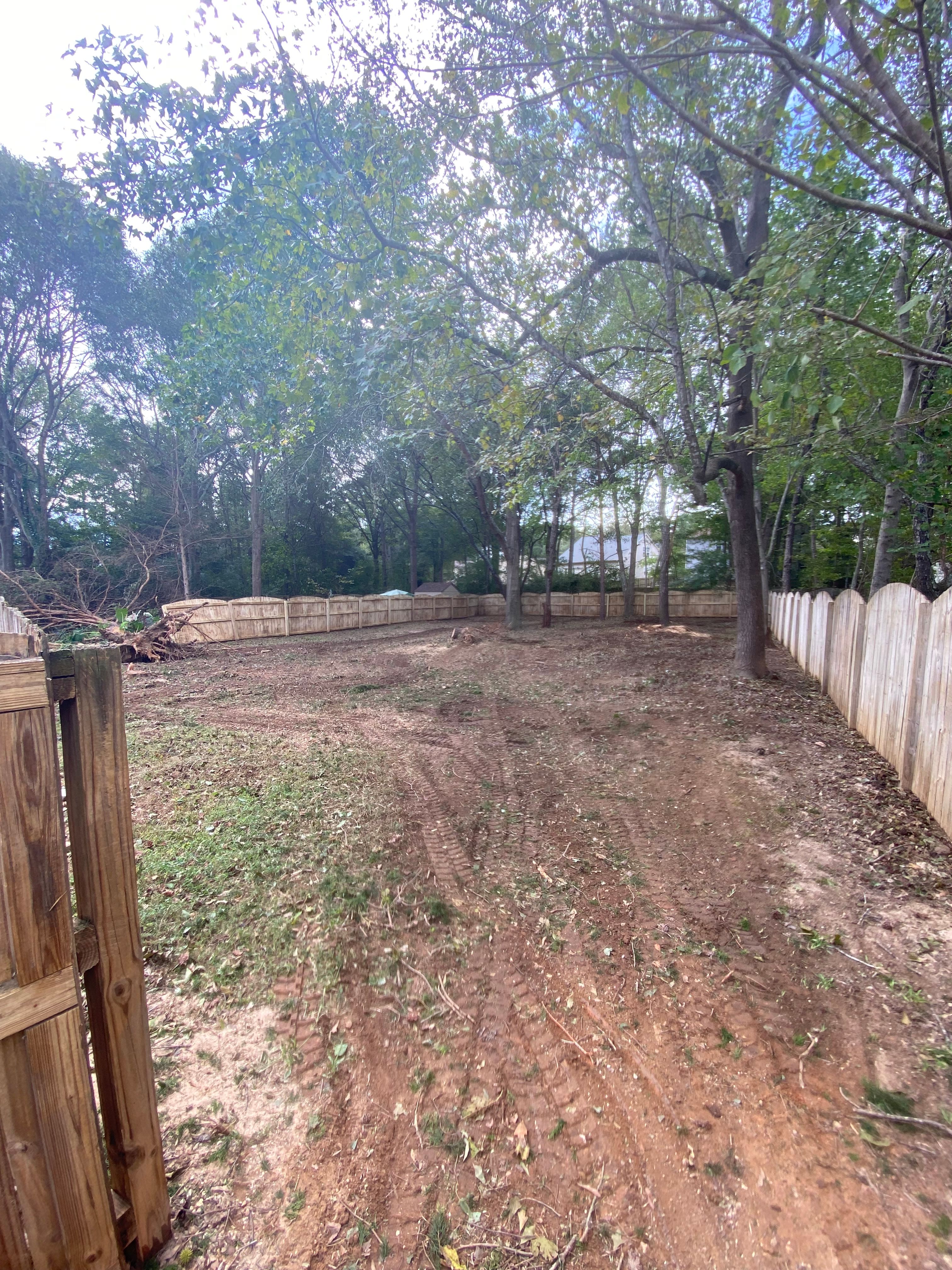 Tree Removal for Diversified Tree Company in Trinity, NC