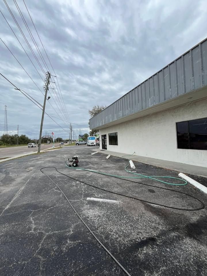  for Escorpio Painting in Tampa, FL