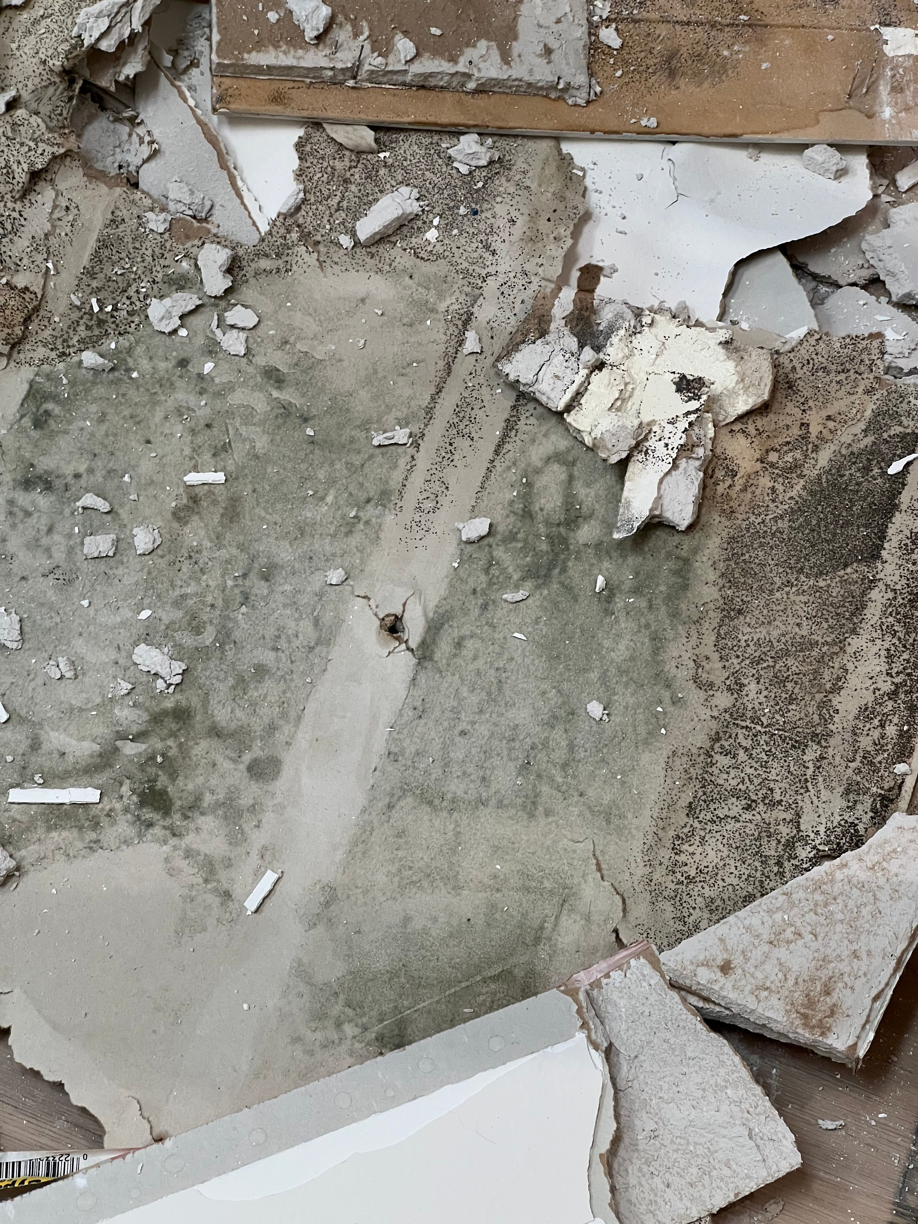  for N&D Restoration Services When Disaster Strikes, We Come In in Cape Coral,  FL