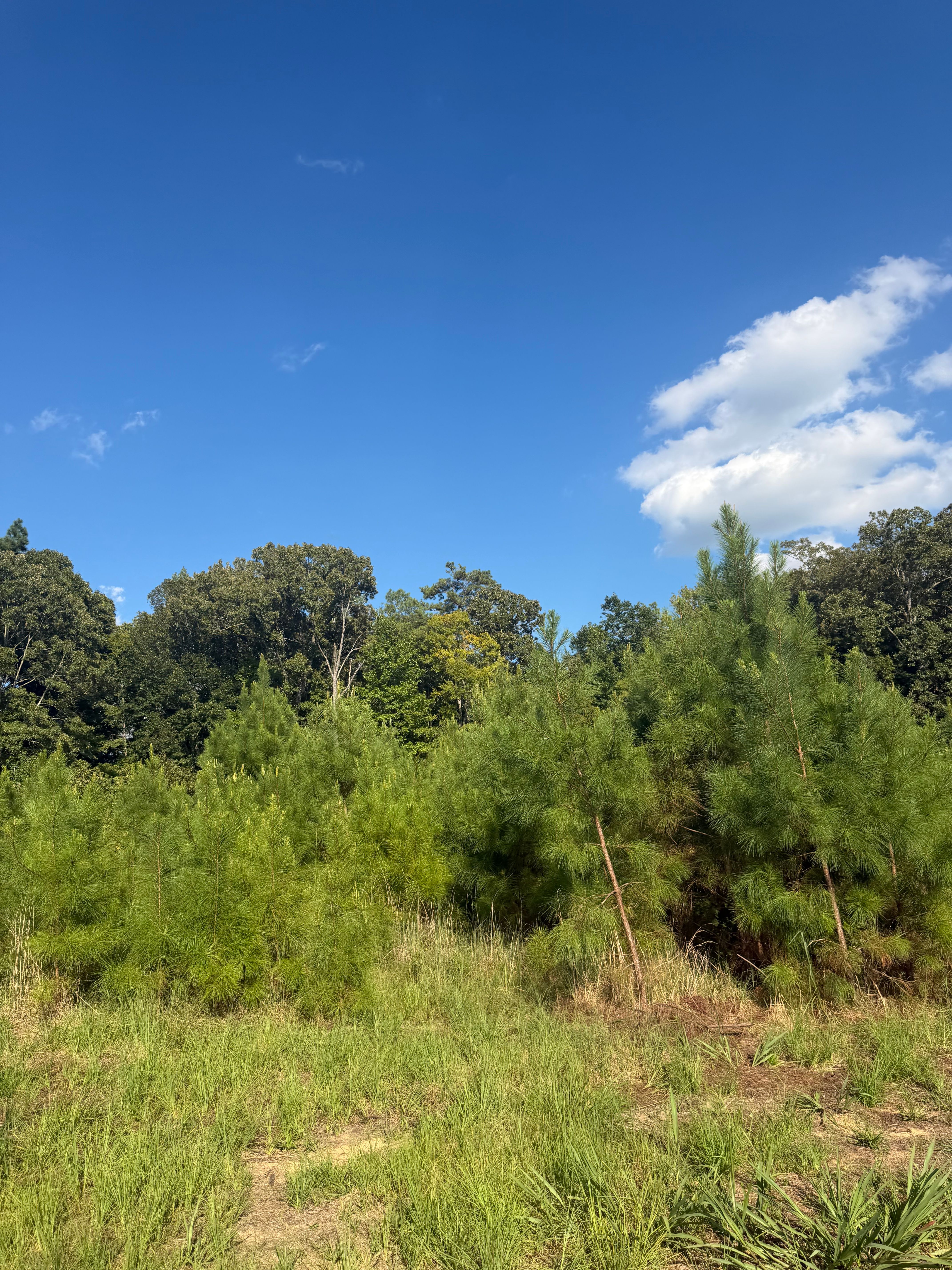  for Ross Excavation & Land Development in Middleton, TN