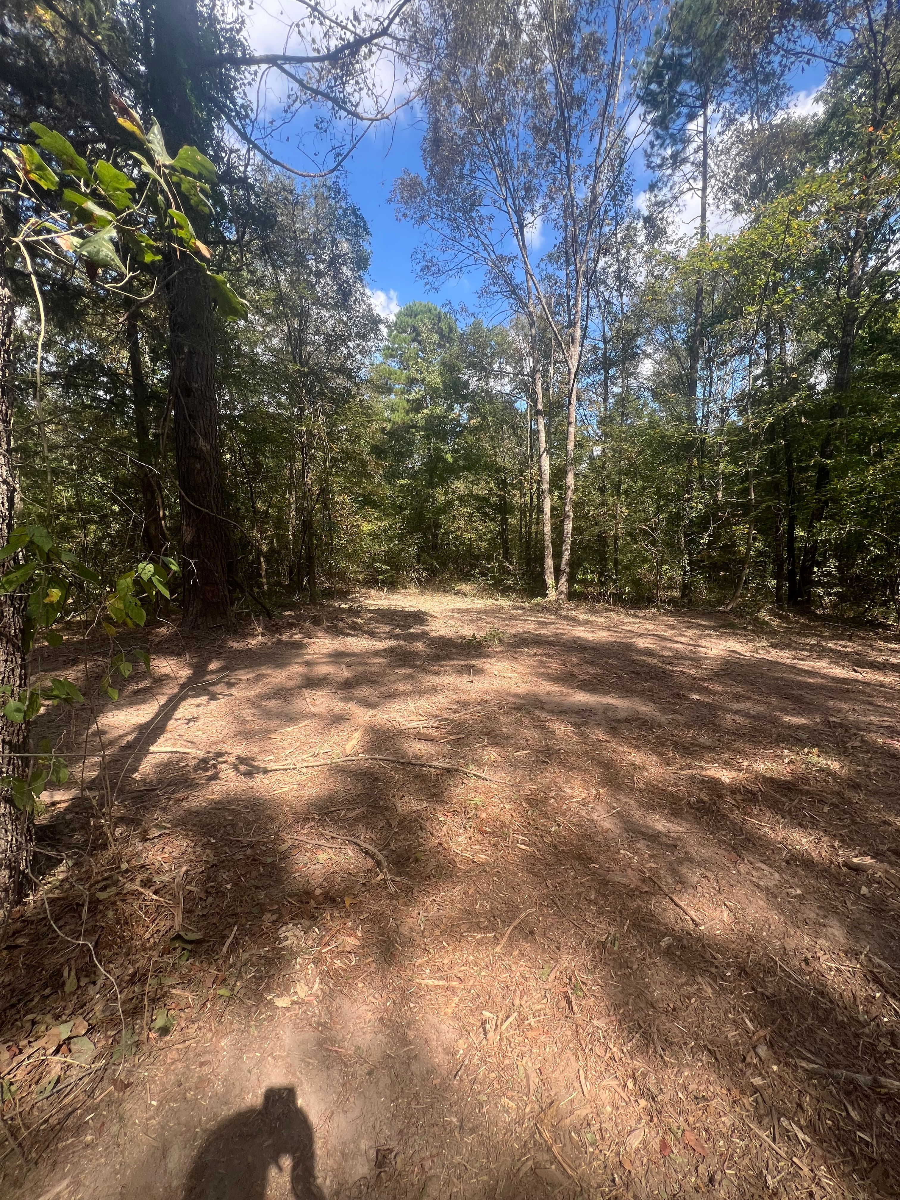  for 903 Mulching in East Mountain, TX