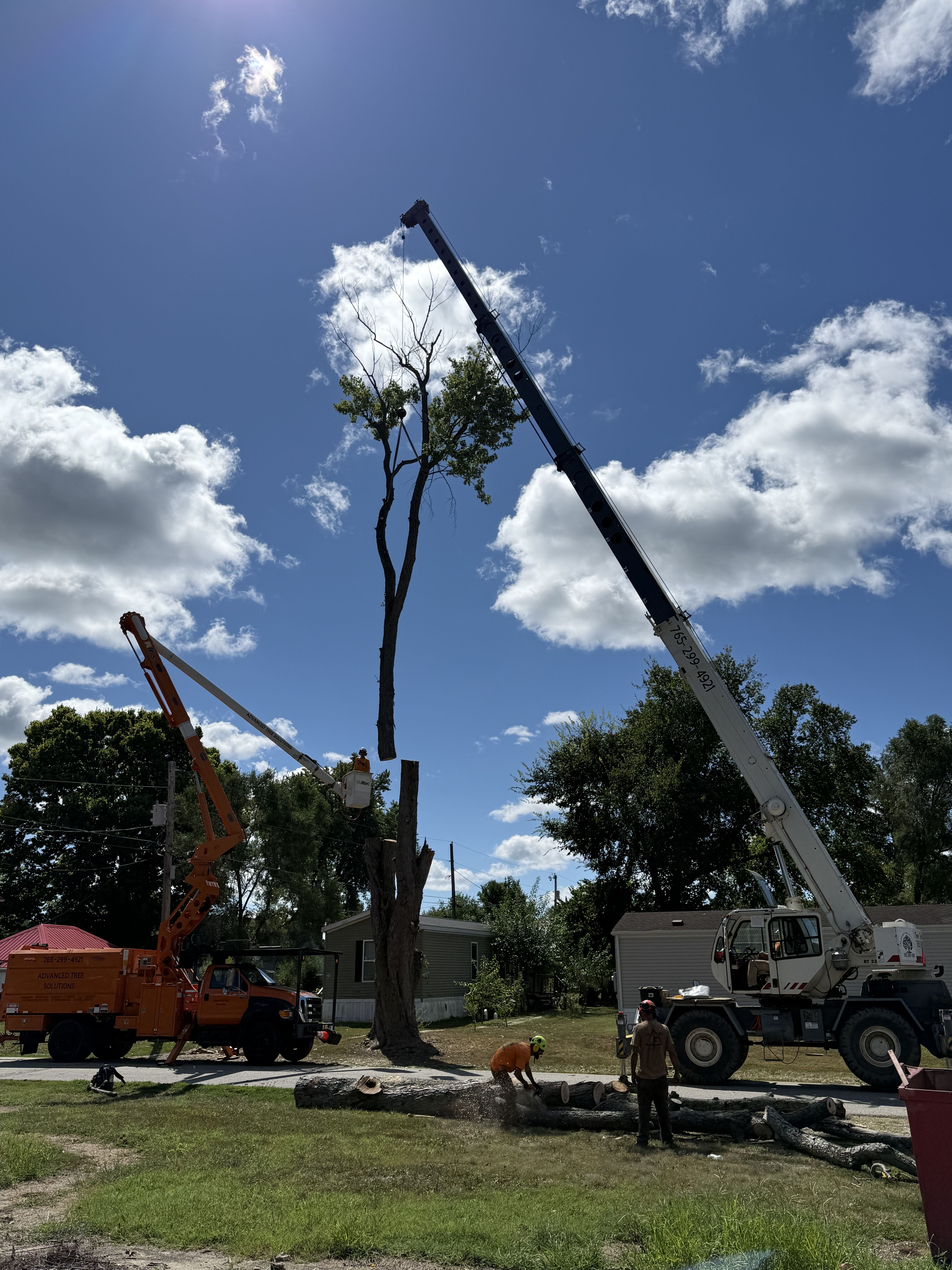  for Advanced Tree Solutions in Rockville, IN