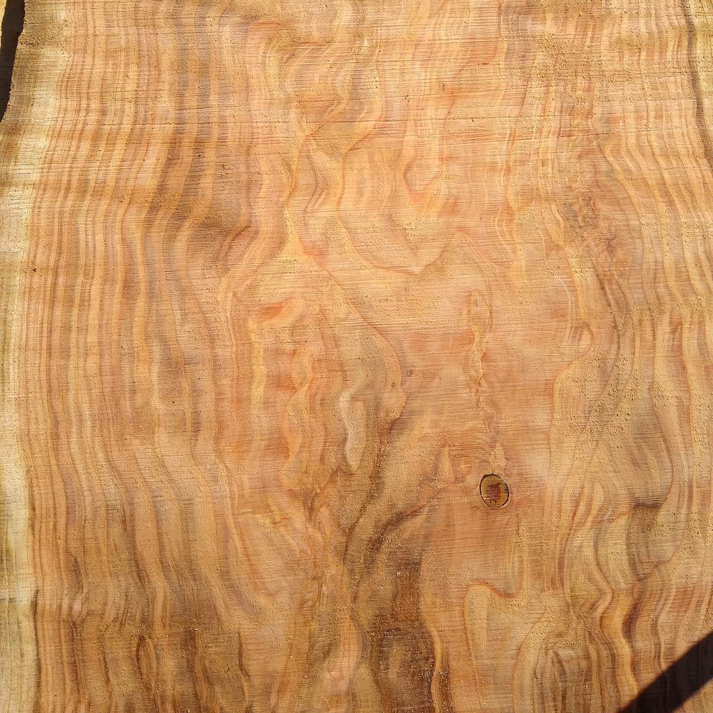  for The Baskins Sawmill in Port Angeles,  WA