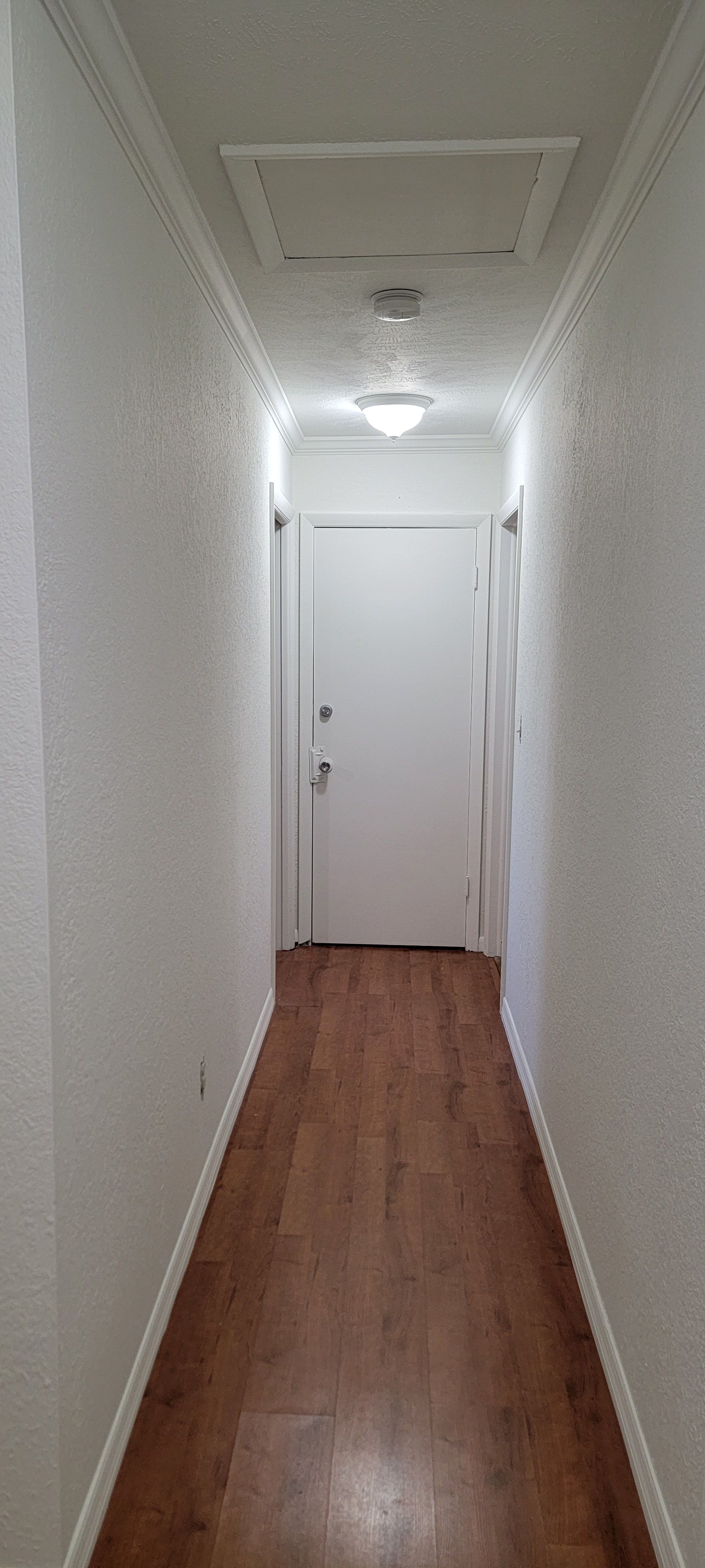  for Millenium Construction & Property Management in Tampa, FL