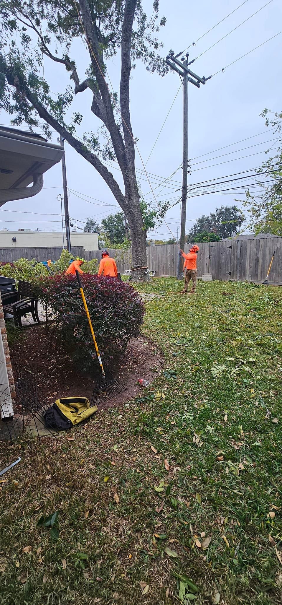  for Servin's Tree Care  in Houston, TX