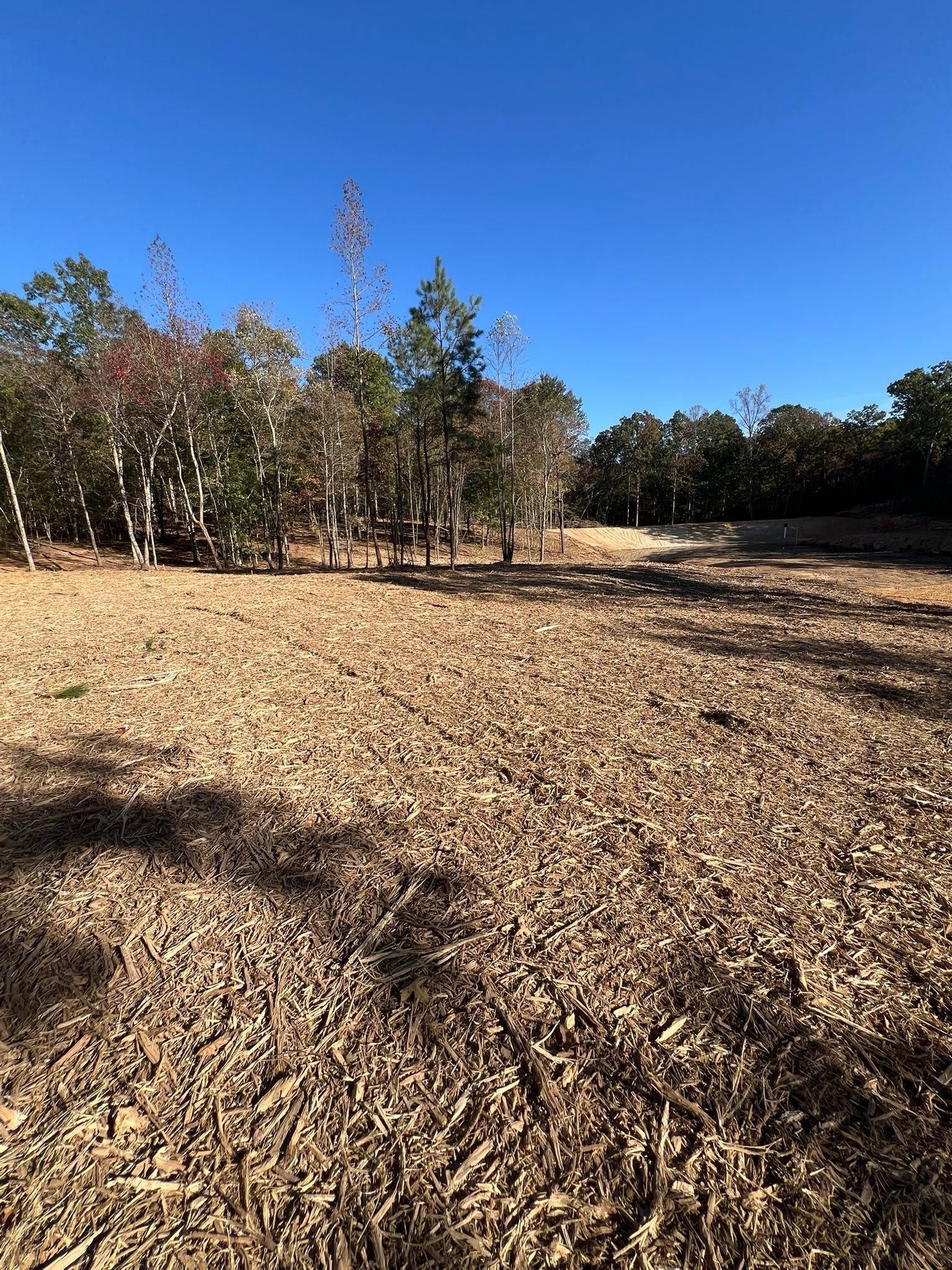  for Southern Roots Services in Carrollton, GA