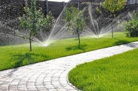 All Photos for Phillips Lawn Services in Ravenna, MI