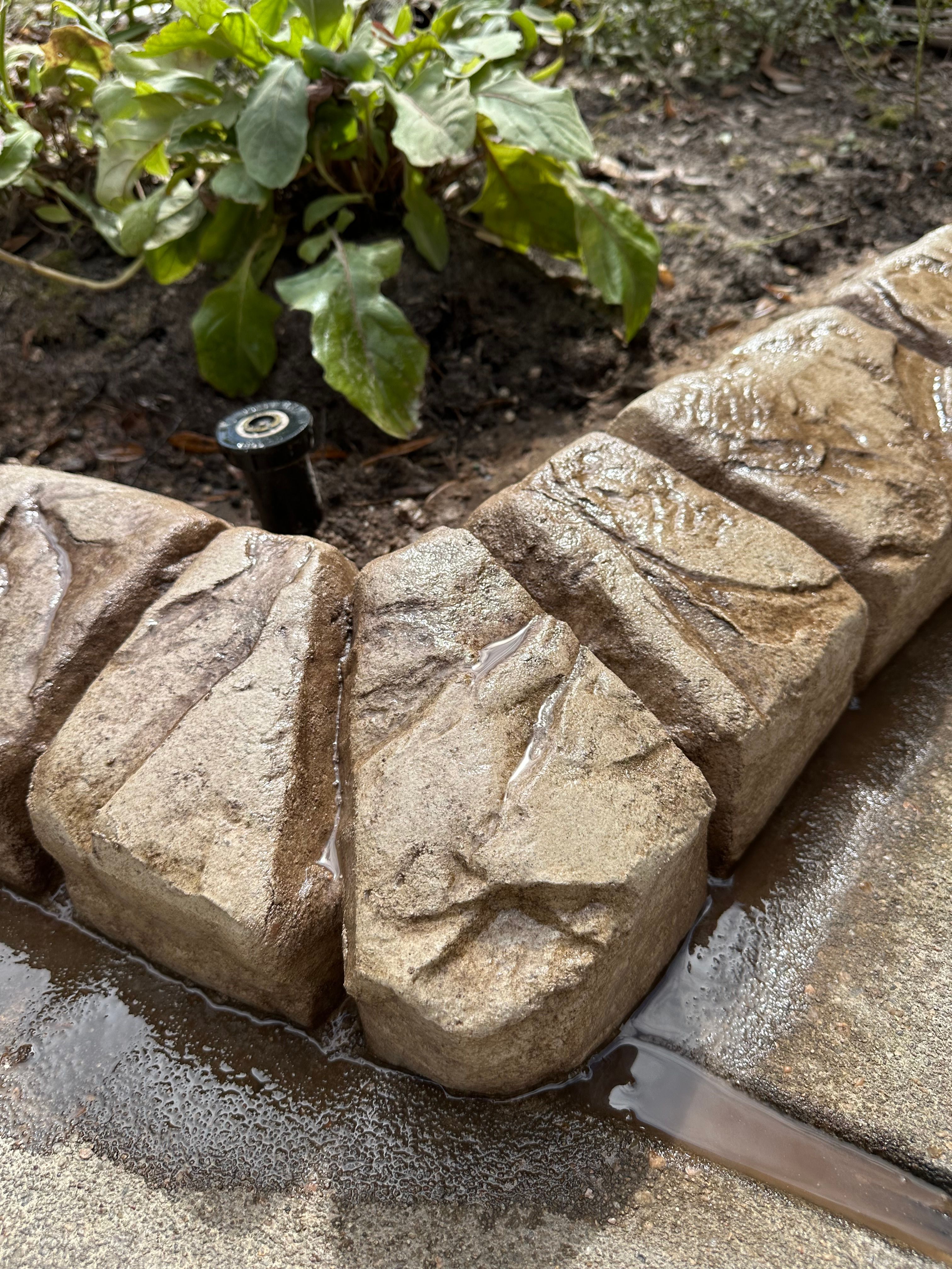  for Texas Curb N Borders in Houston, TX