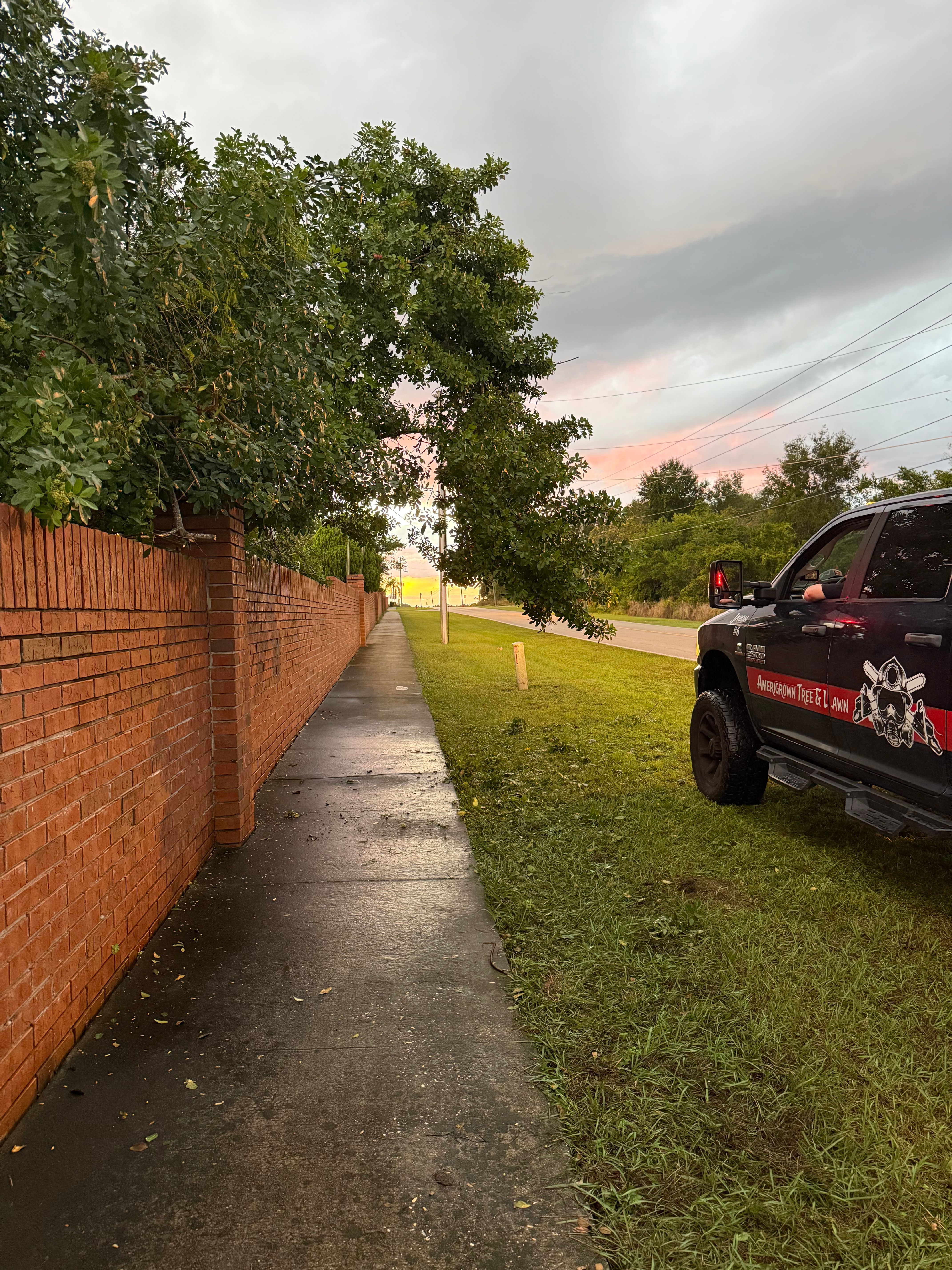  for Amerigrown Tree And Lawn in Apopka, FL