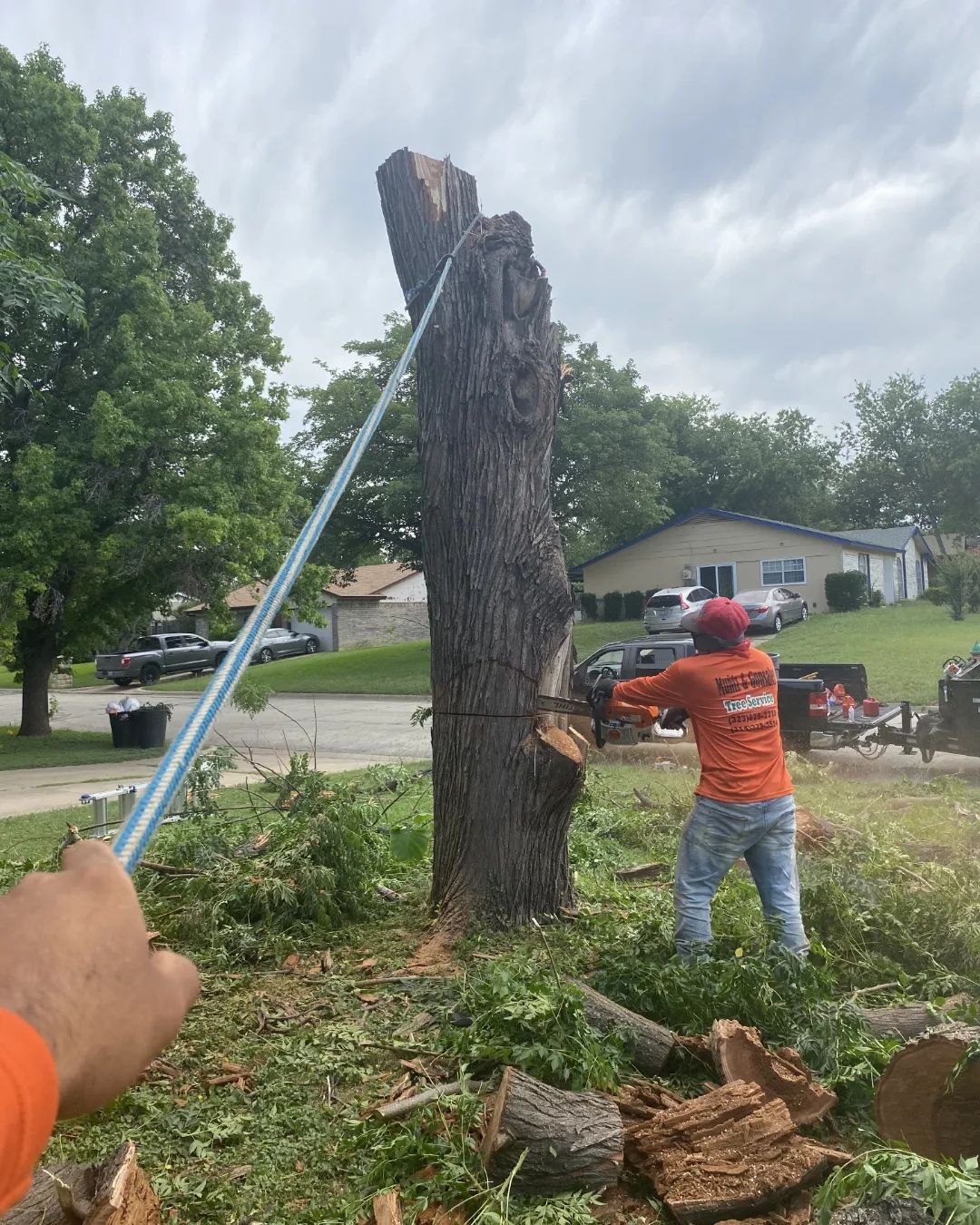  for Muniz Tree Service in North Richland Hills, TX