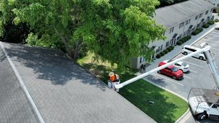  for Cisco Kid Tree Service LLC in Charlotte, North Carolina